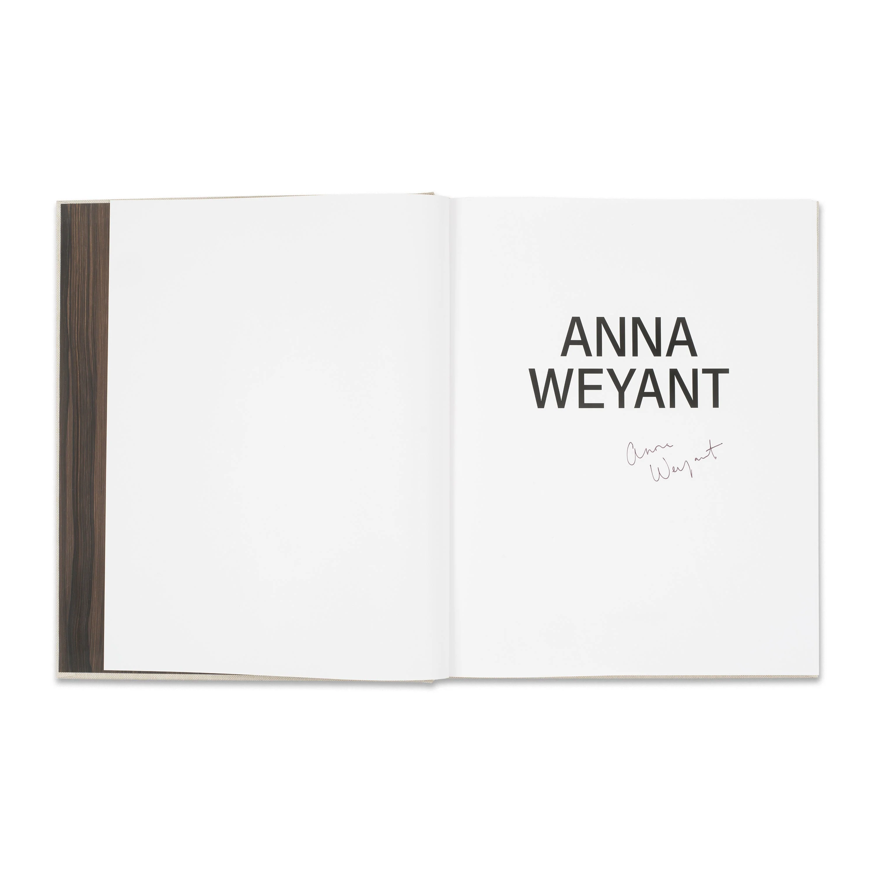 Anna Weyant - Image 2