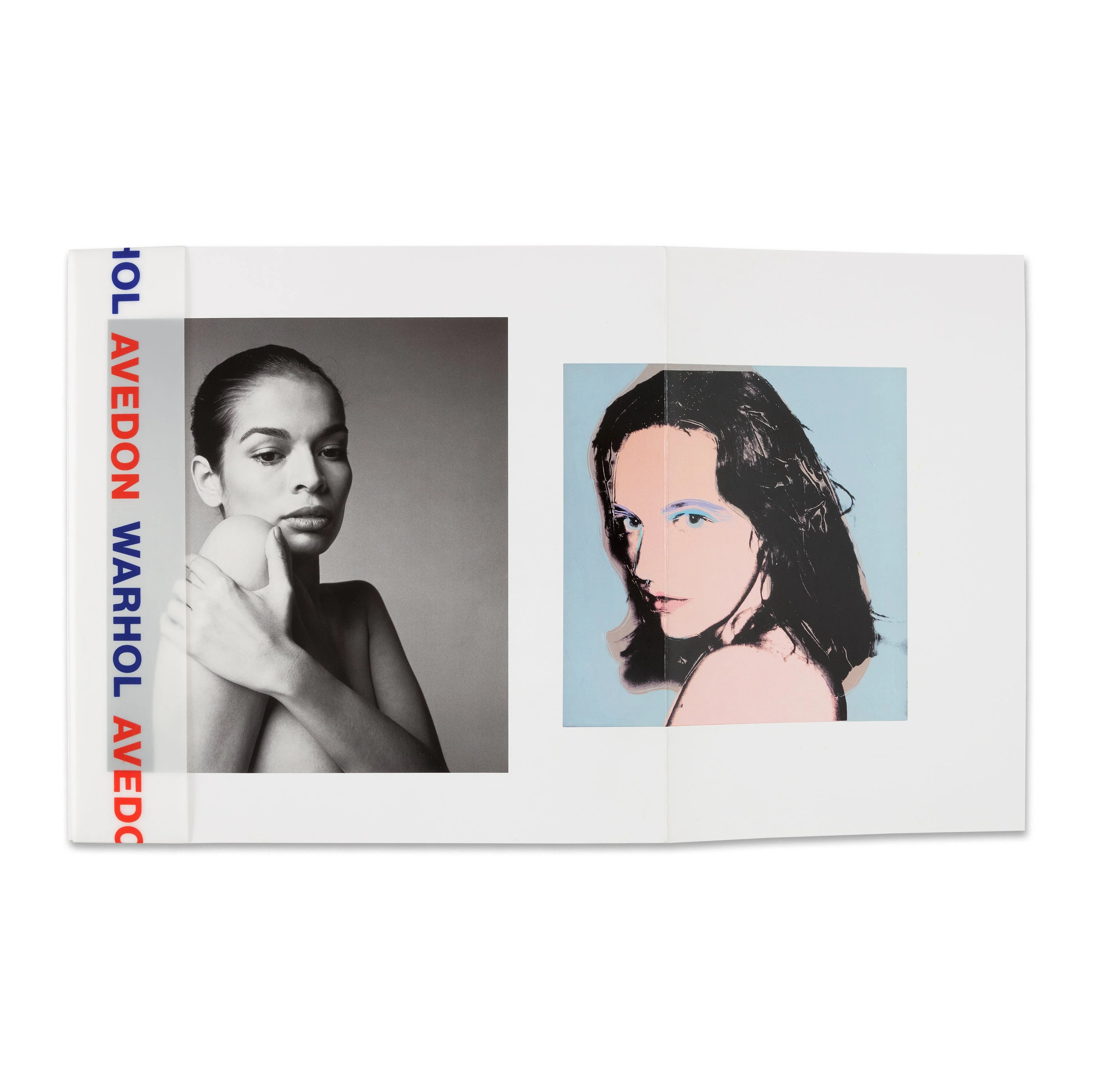 Avedon Warhol - Image 2