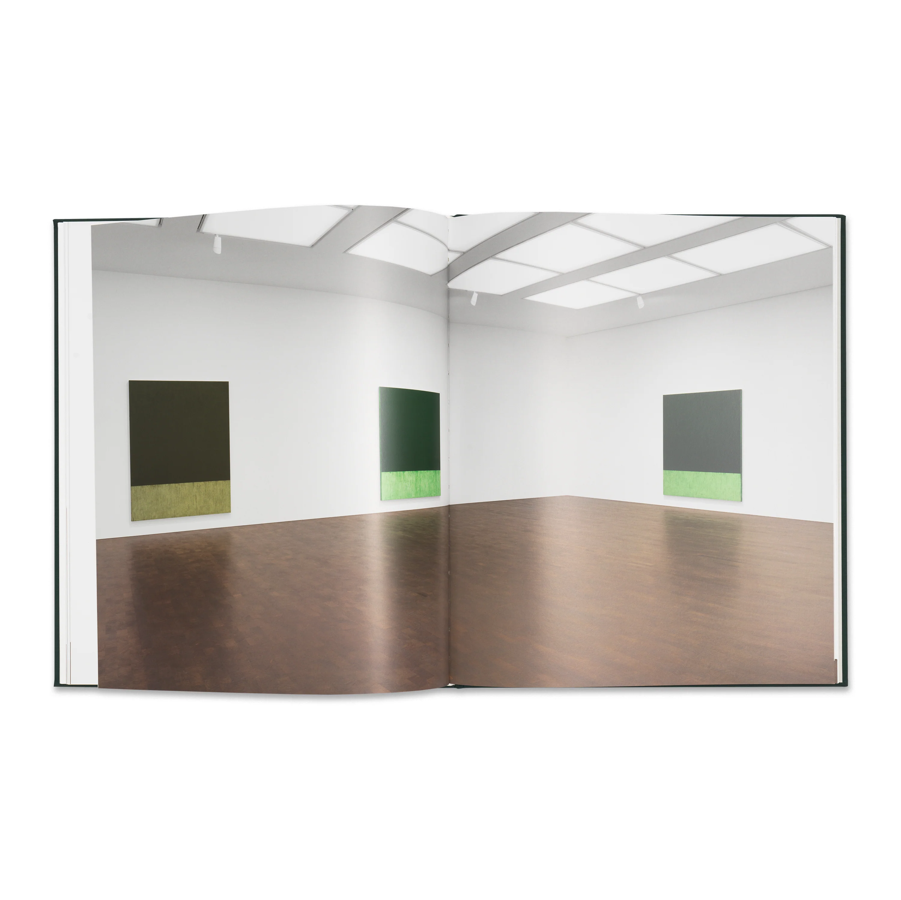 Brice Marden - Image 4