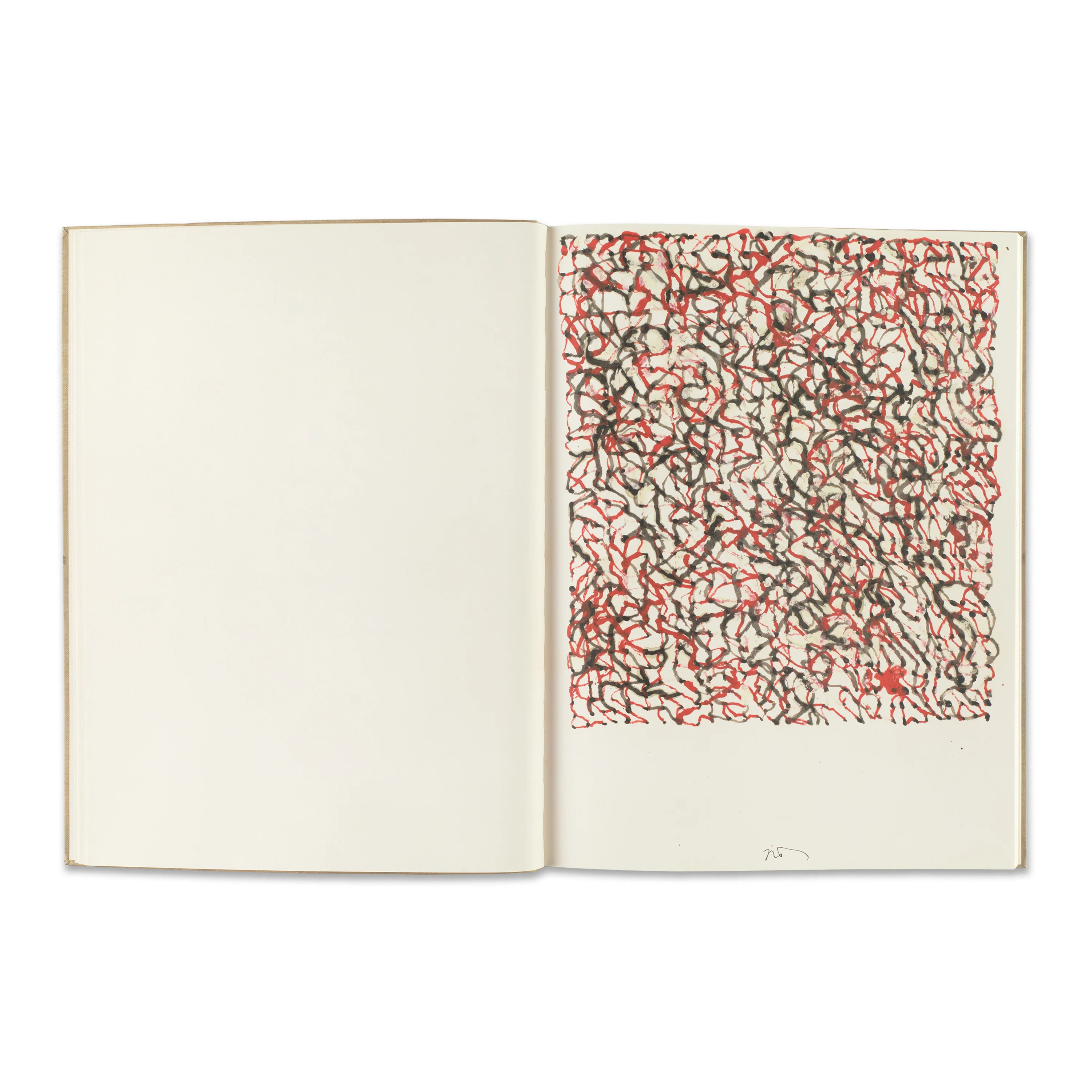 Brice Marden - Image 3