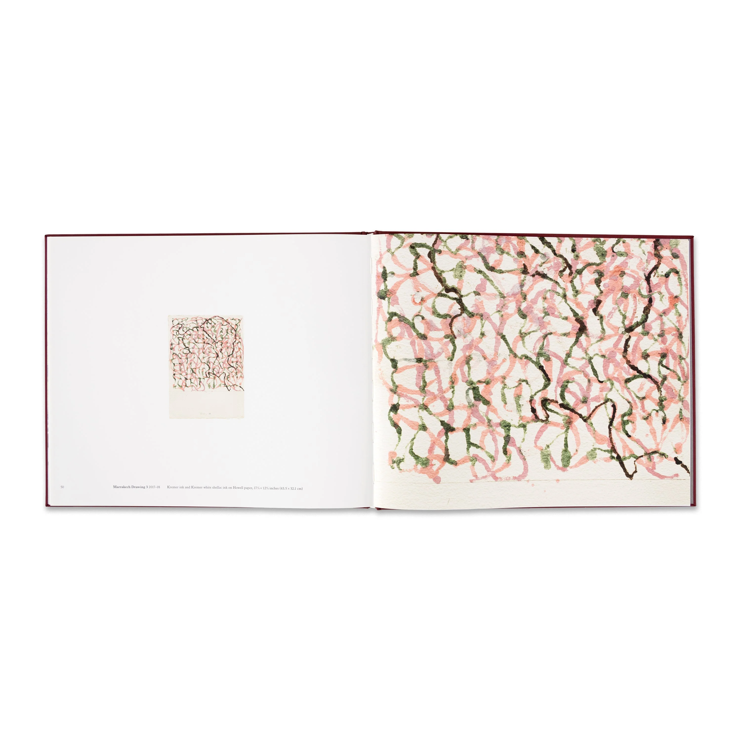 Brice Marden at Casa Malaparte - Image 4