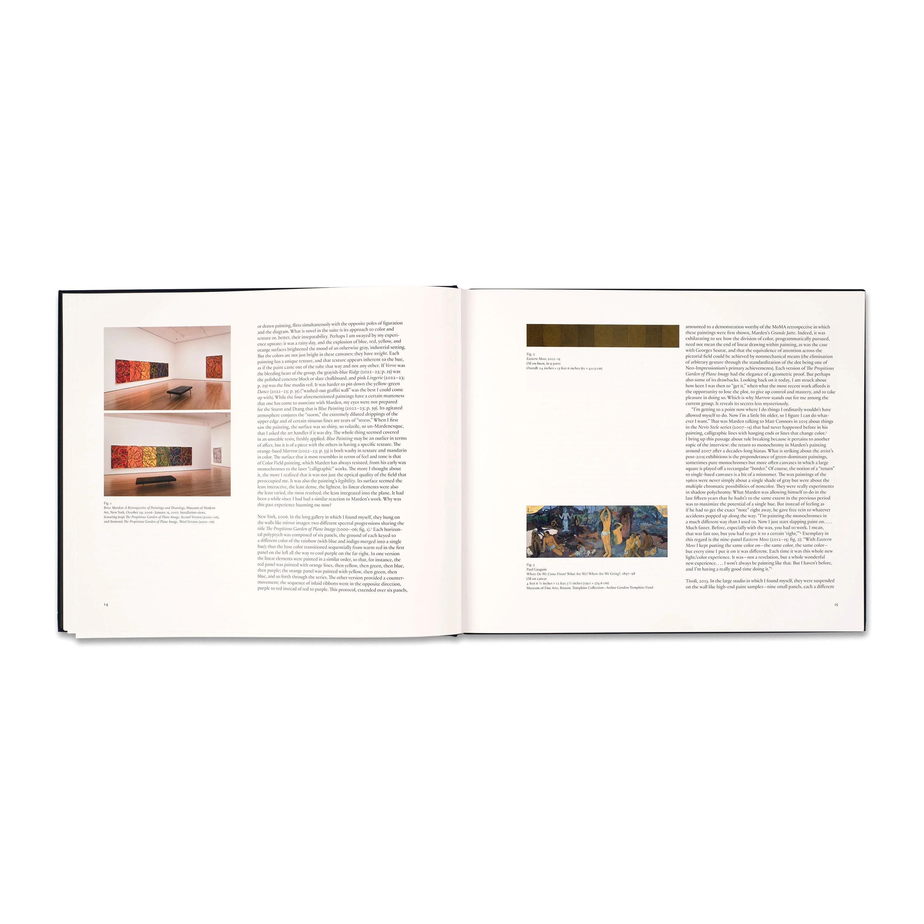 Brice Marden: Let the painting make you - Image 3