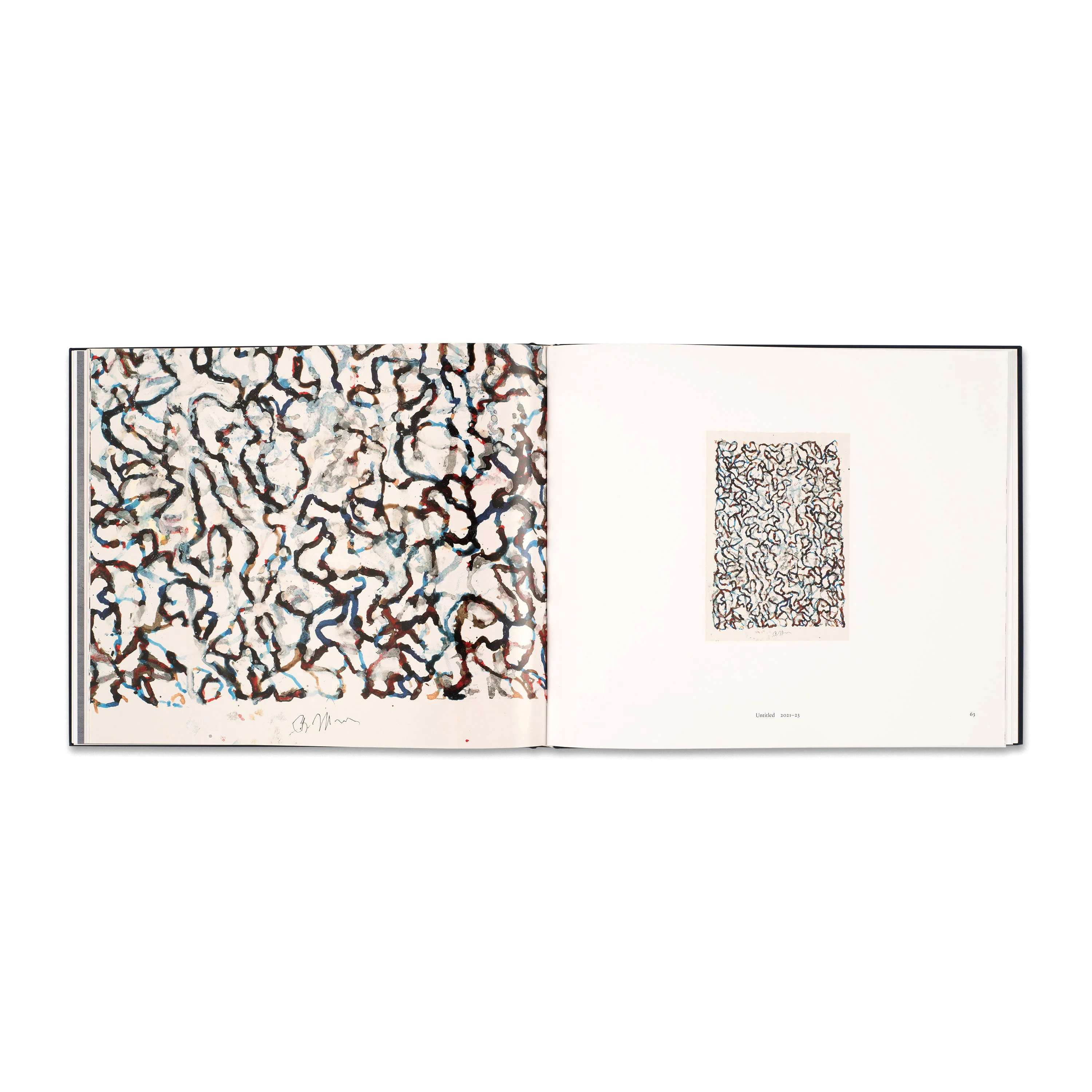 Brice Marden: Let the painting make you - Image 4