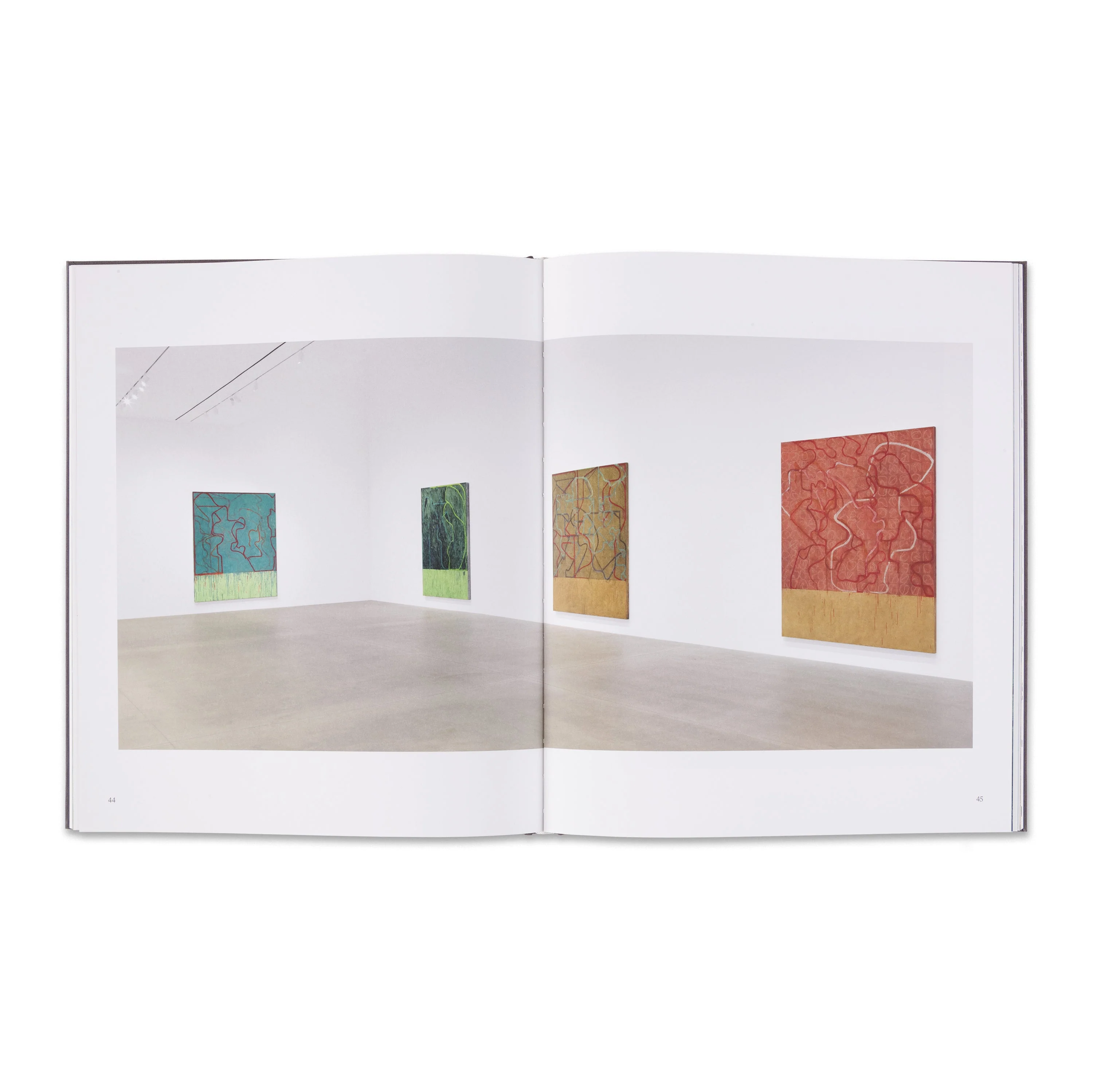 Brice Marden: These paintings are of themselves - Image 4
