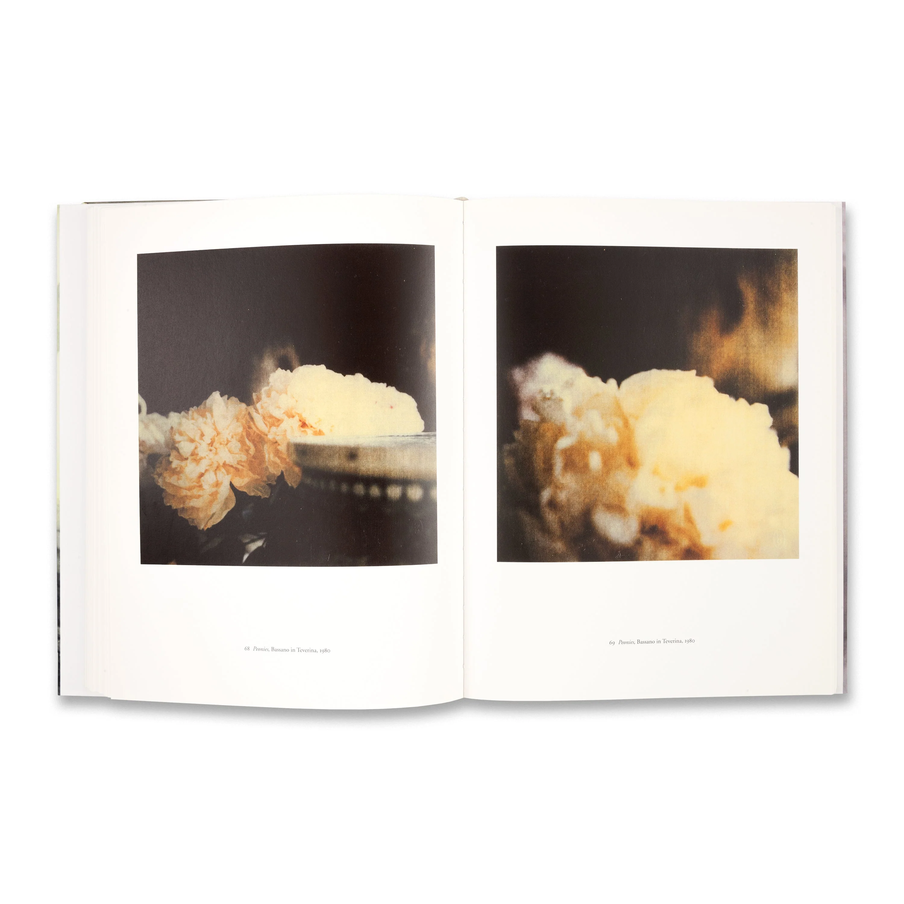 Cy Twombly: Photographs 1951–2007 - Image 3
