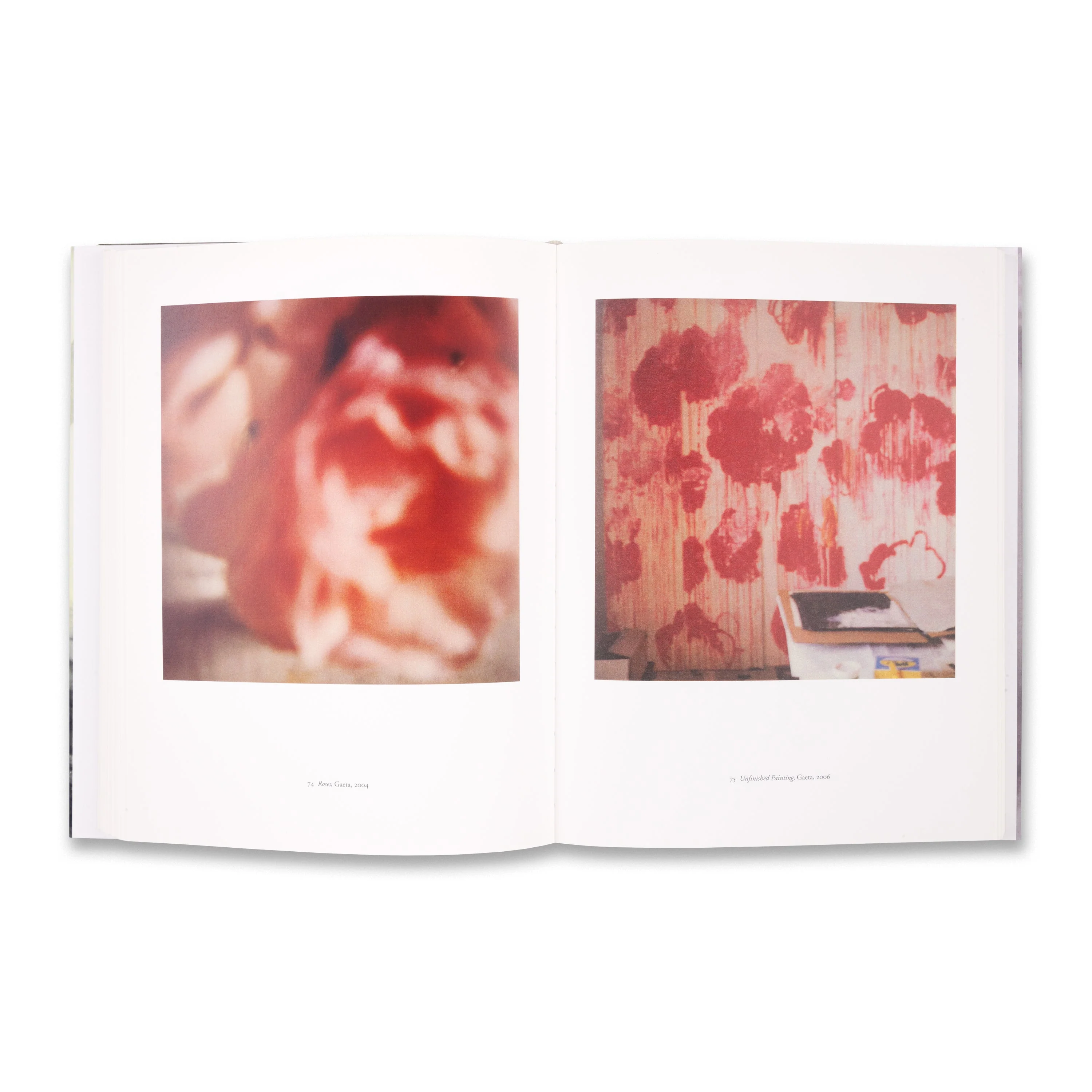 Cy Twombly: Photographs 1951–2007 - Image 4