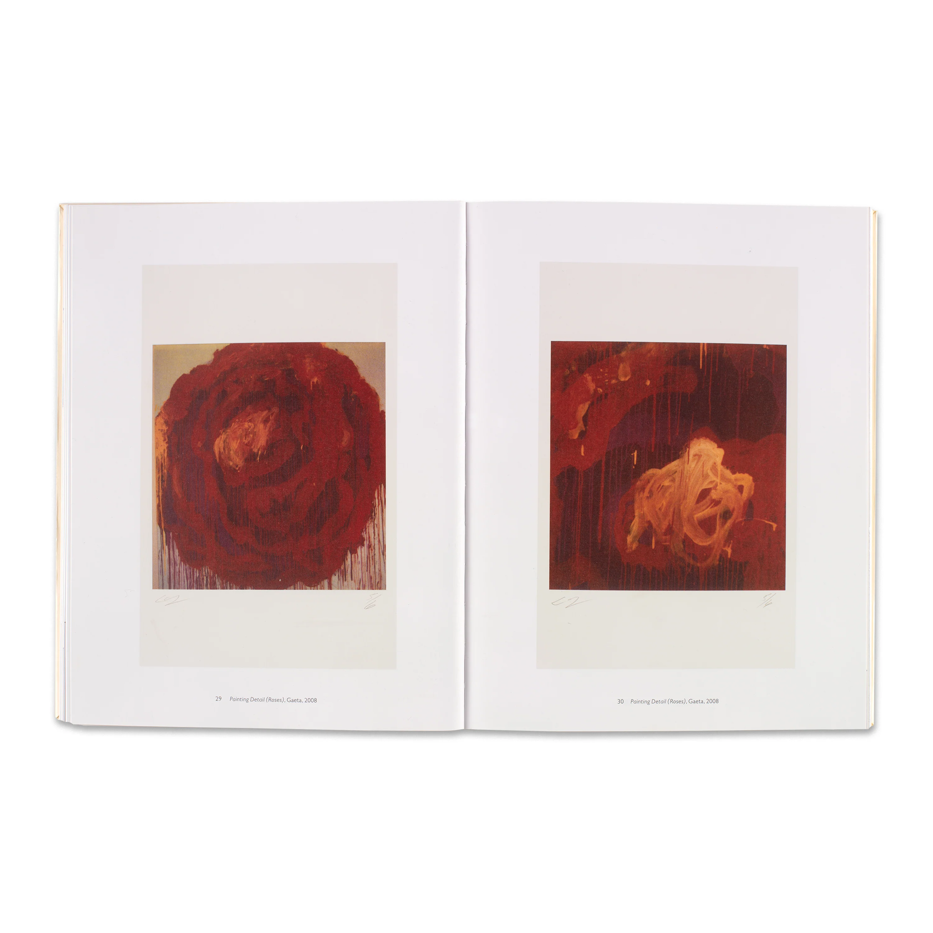 Cy Twombly: Photographs - Image 4