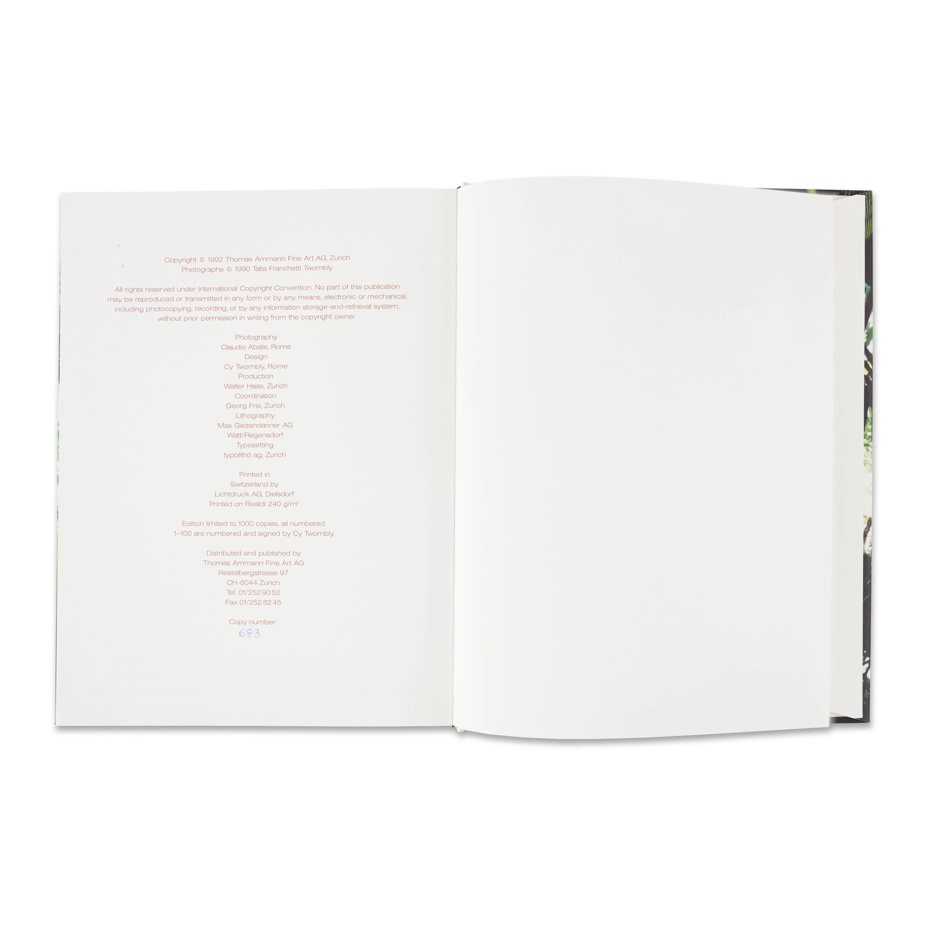 Cy Twombly: Souvenir of D’Arros and Gaeta - Image 3