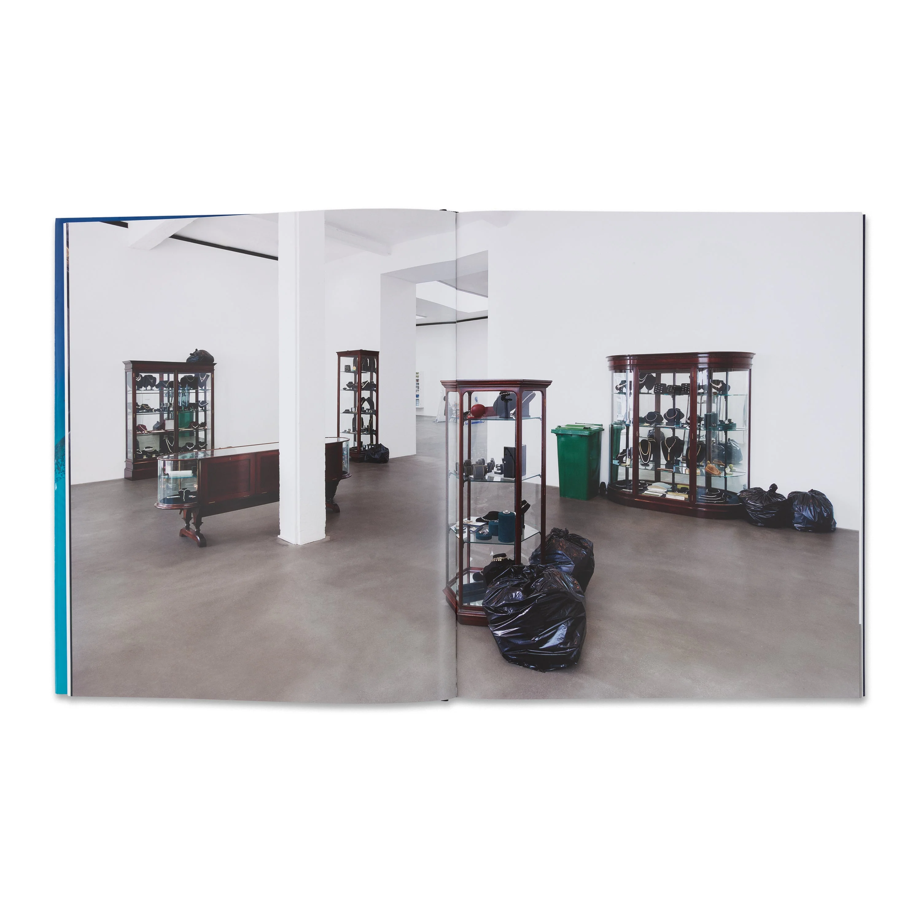 Damien Hirst: Fact Paintings and Fact Sculptures - Image 2