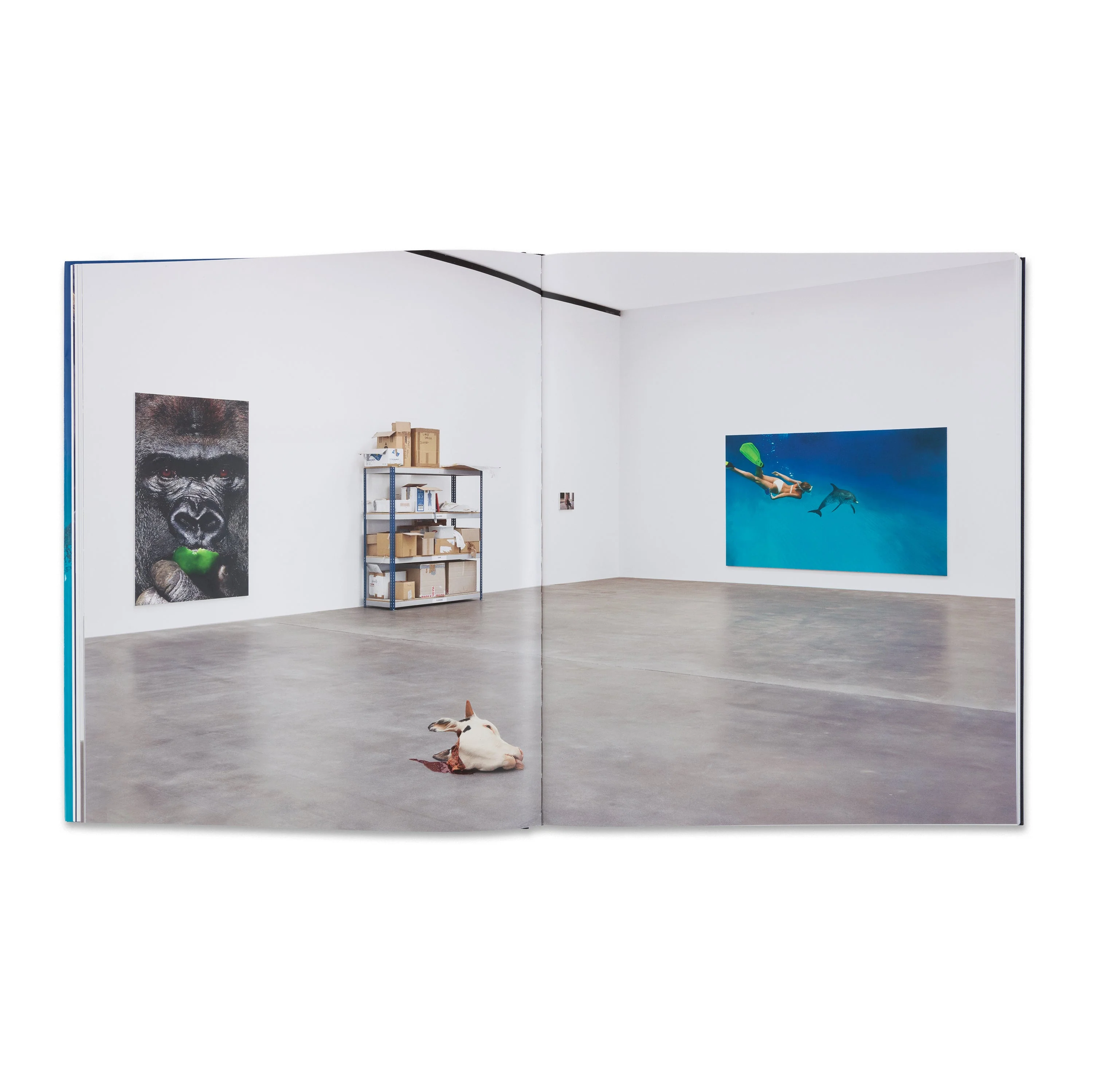 Damien Hirst: Fact Paintings and Fact Sculptures - Image 3