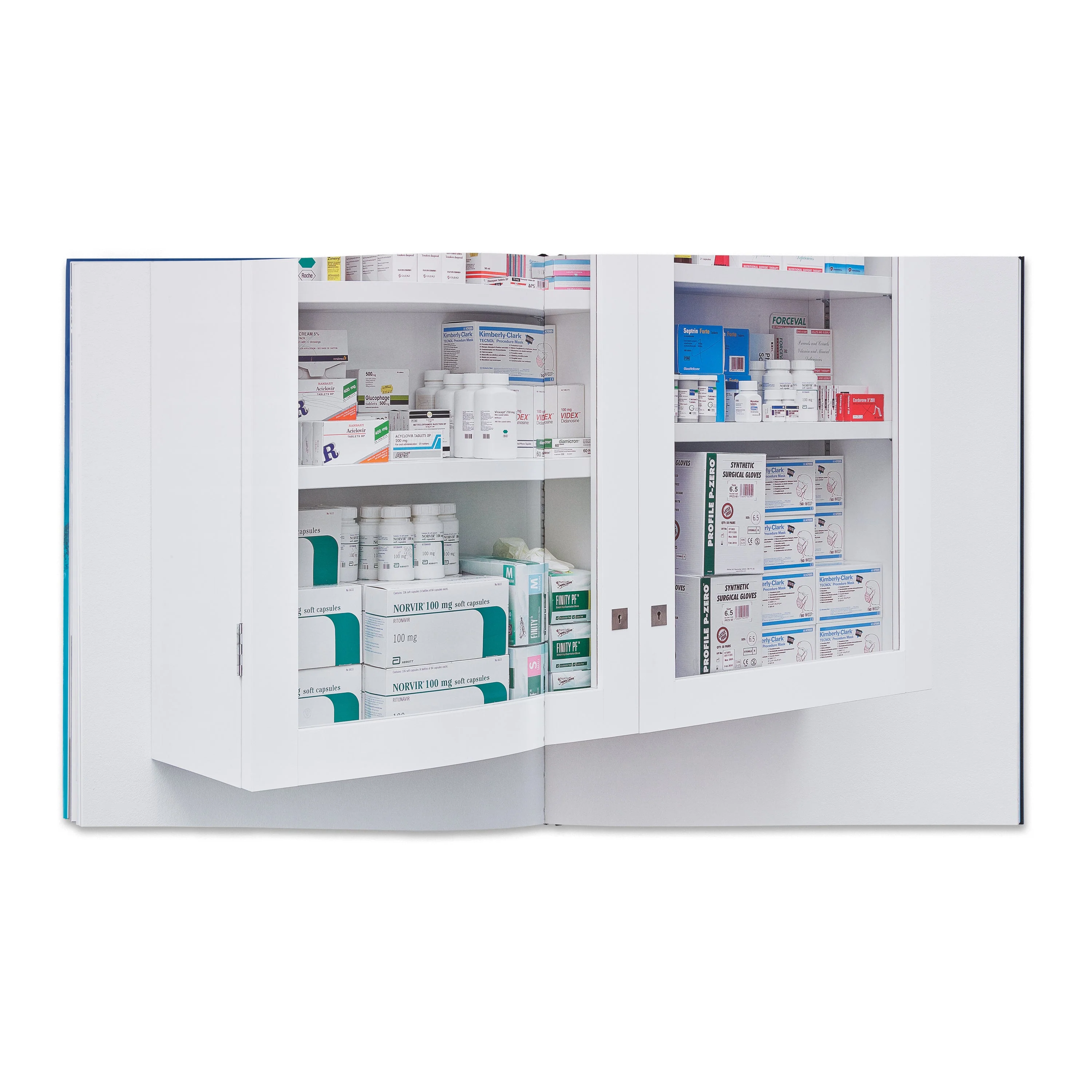 Damien Hirst: Fact Paintings and Fact Sculptures - Image 4