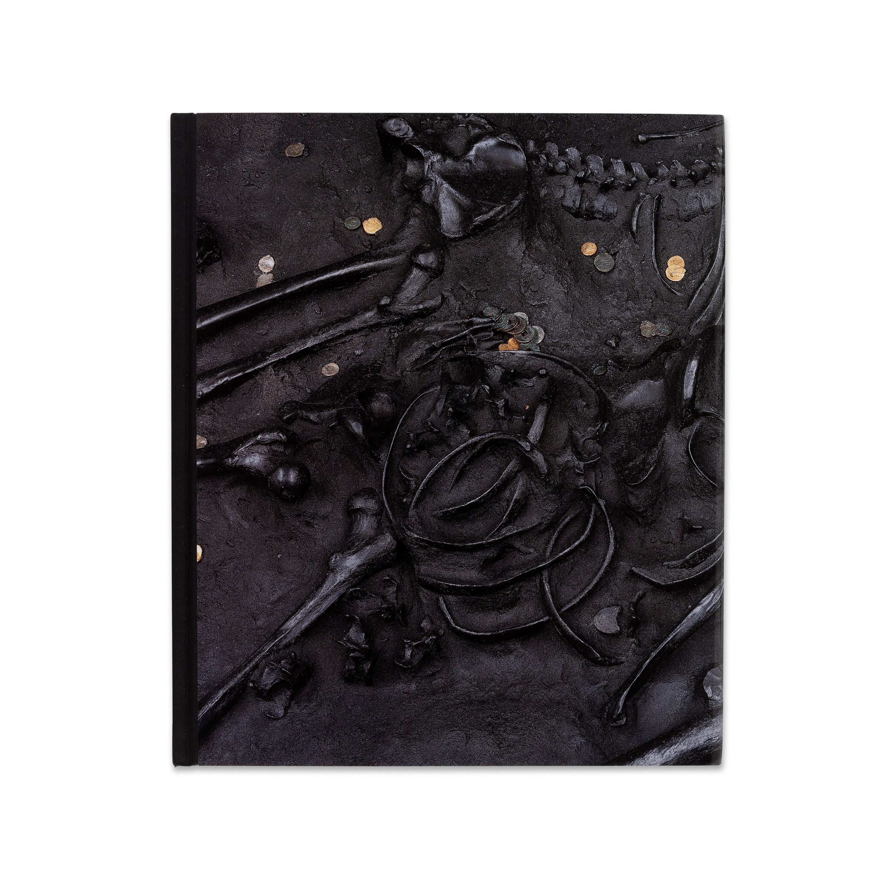 Damien Hirst: Relics and Fly Paintings