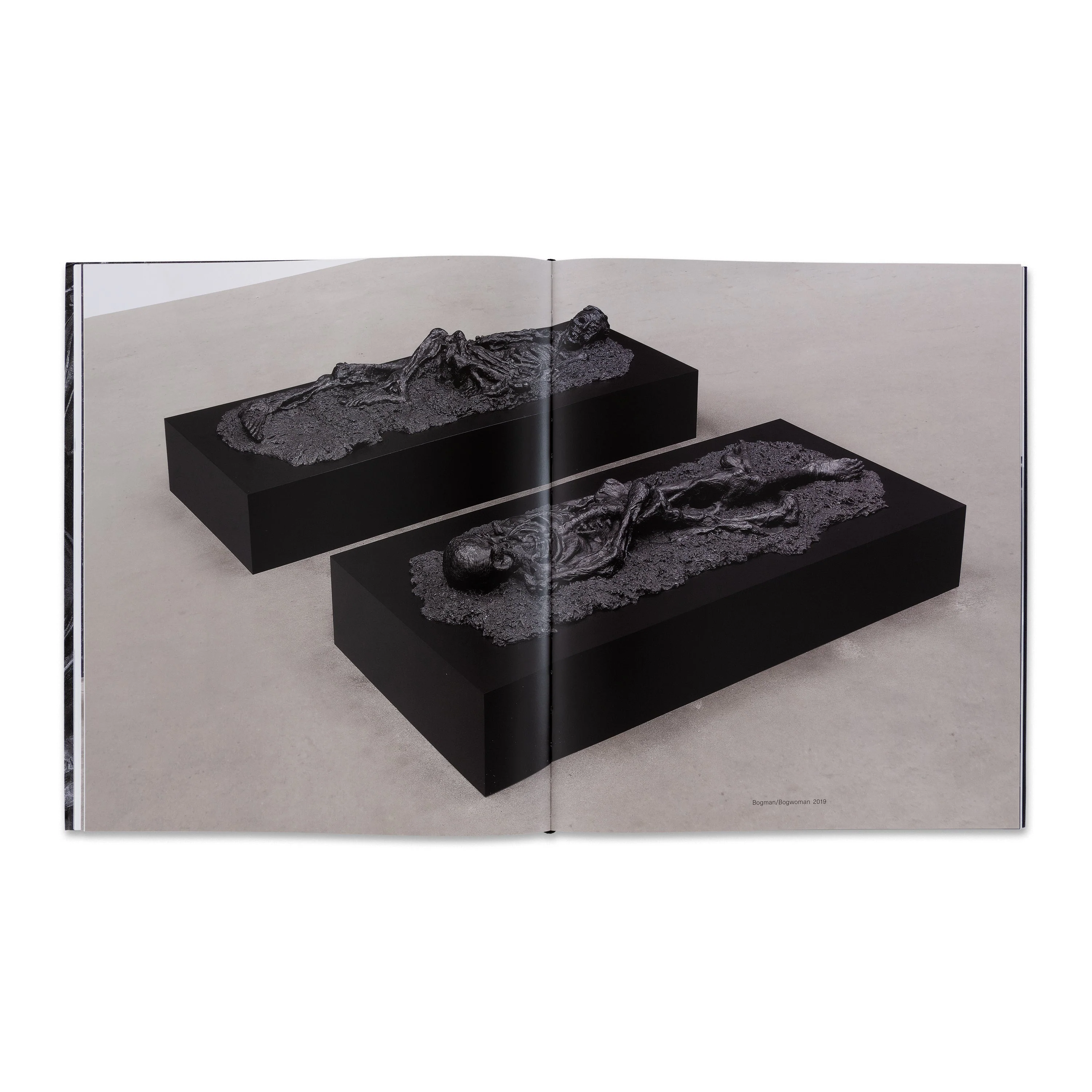 Damien Hirst: Relics and Fly Paintings - Image 2