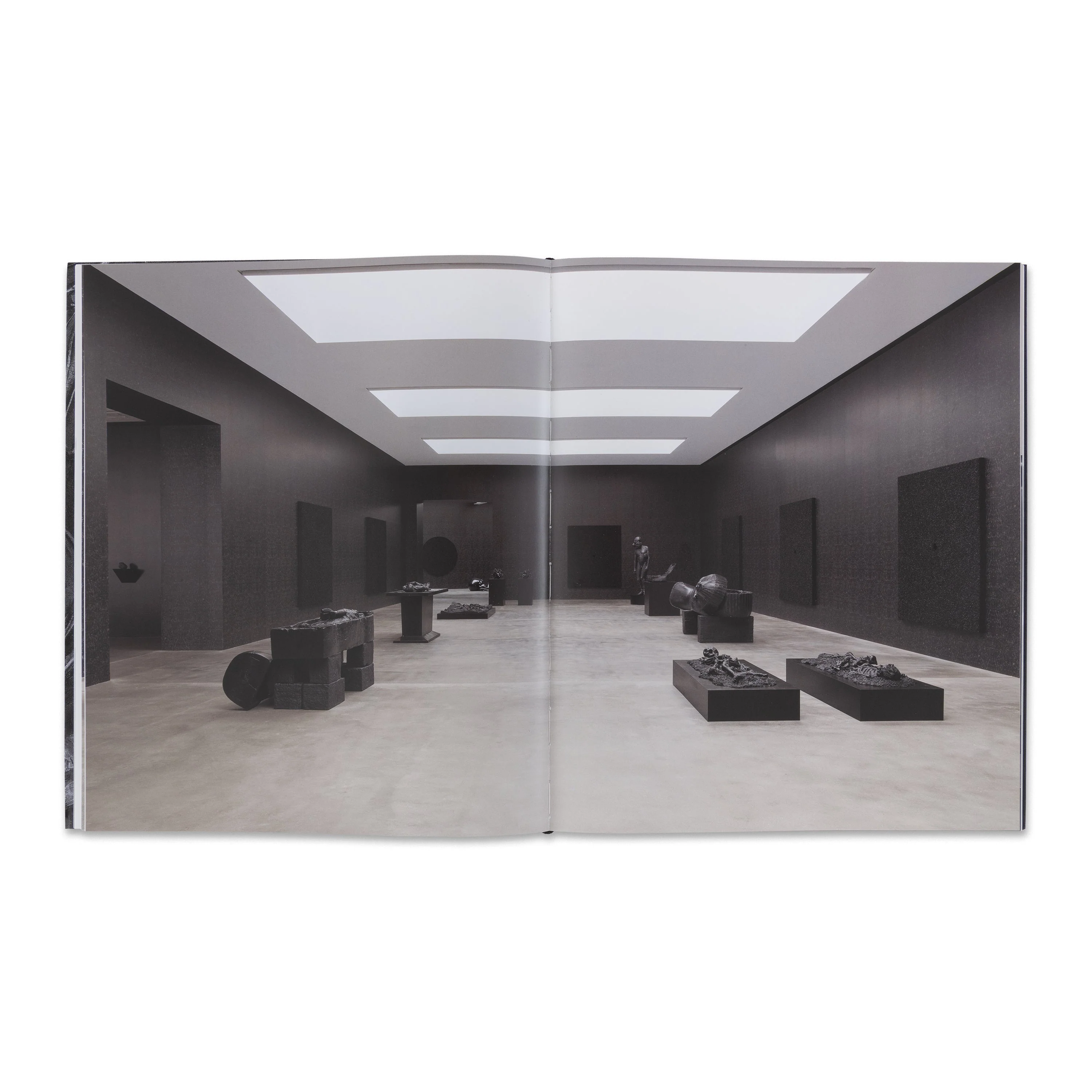 Damien Hirst: Relics and Fly Paintings - Image 3