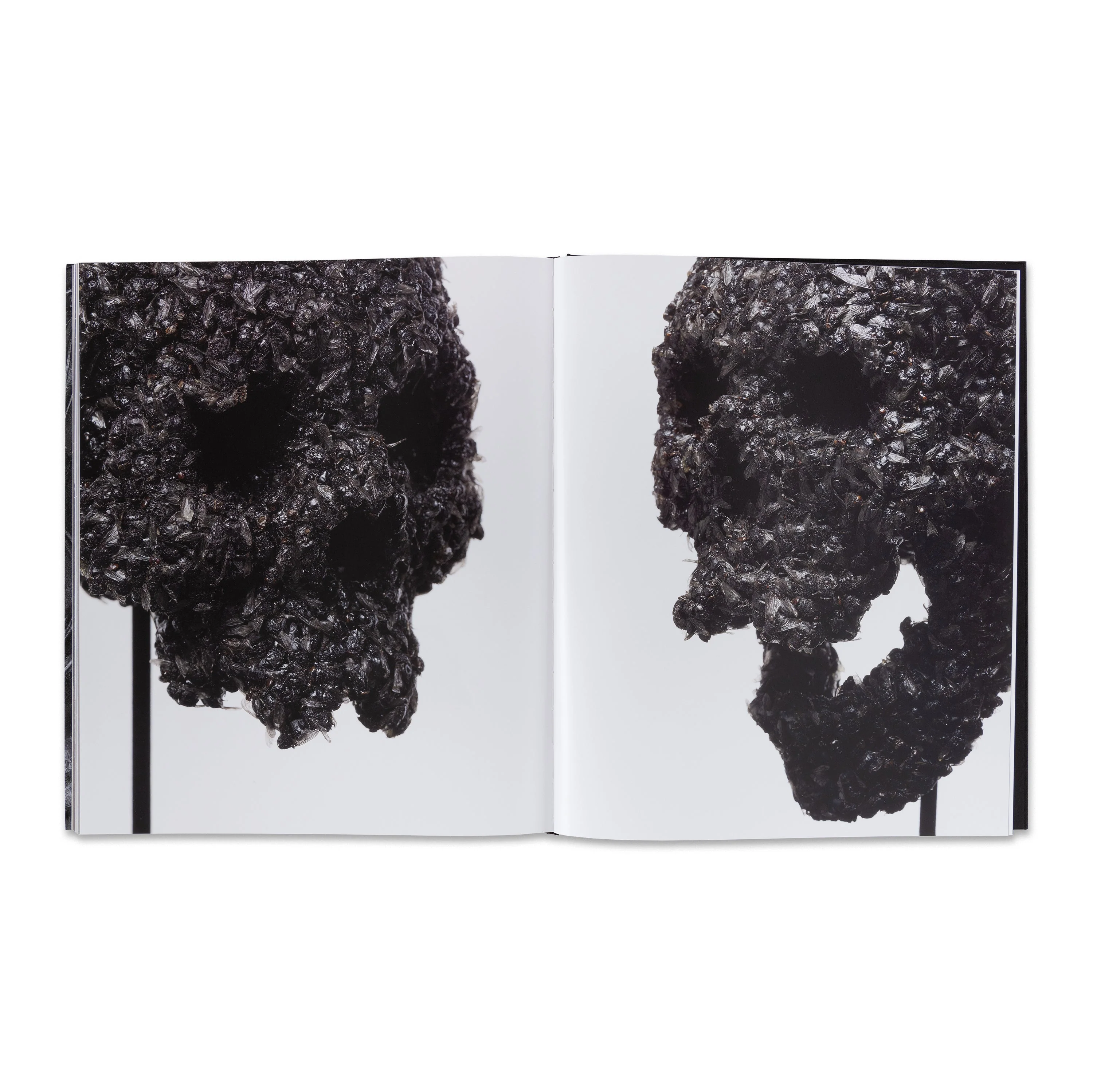 Damien Hirst: Relics and Fly Paintings - Image 4