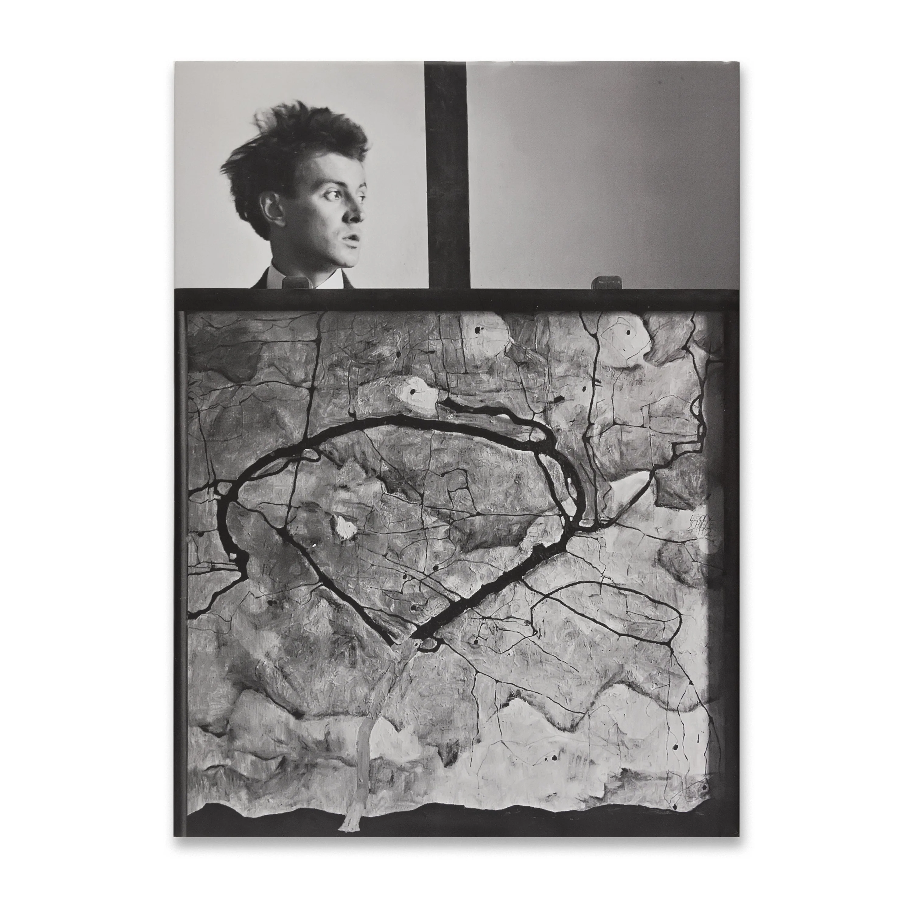 Egon Schiele—Jenny Saville - Image 5