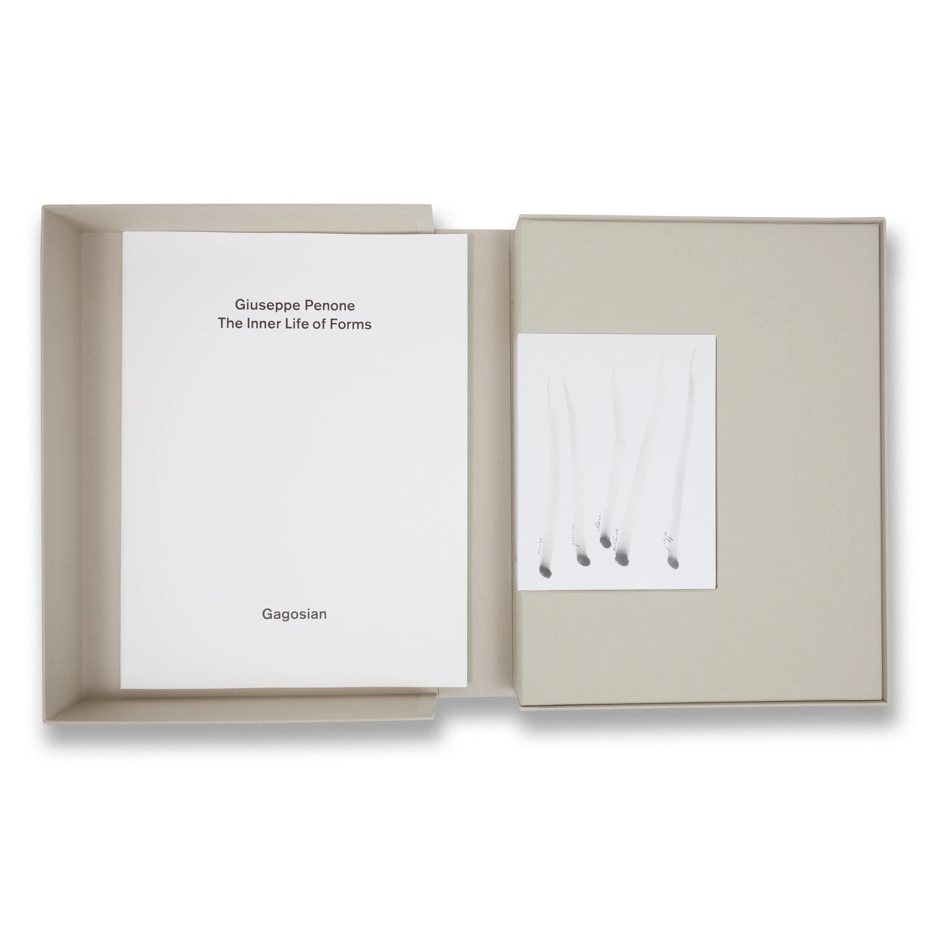 Giuseppe Penone: Identity (White) - Image 3