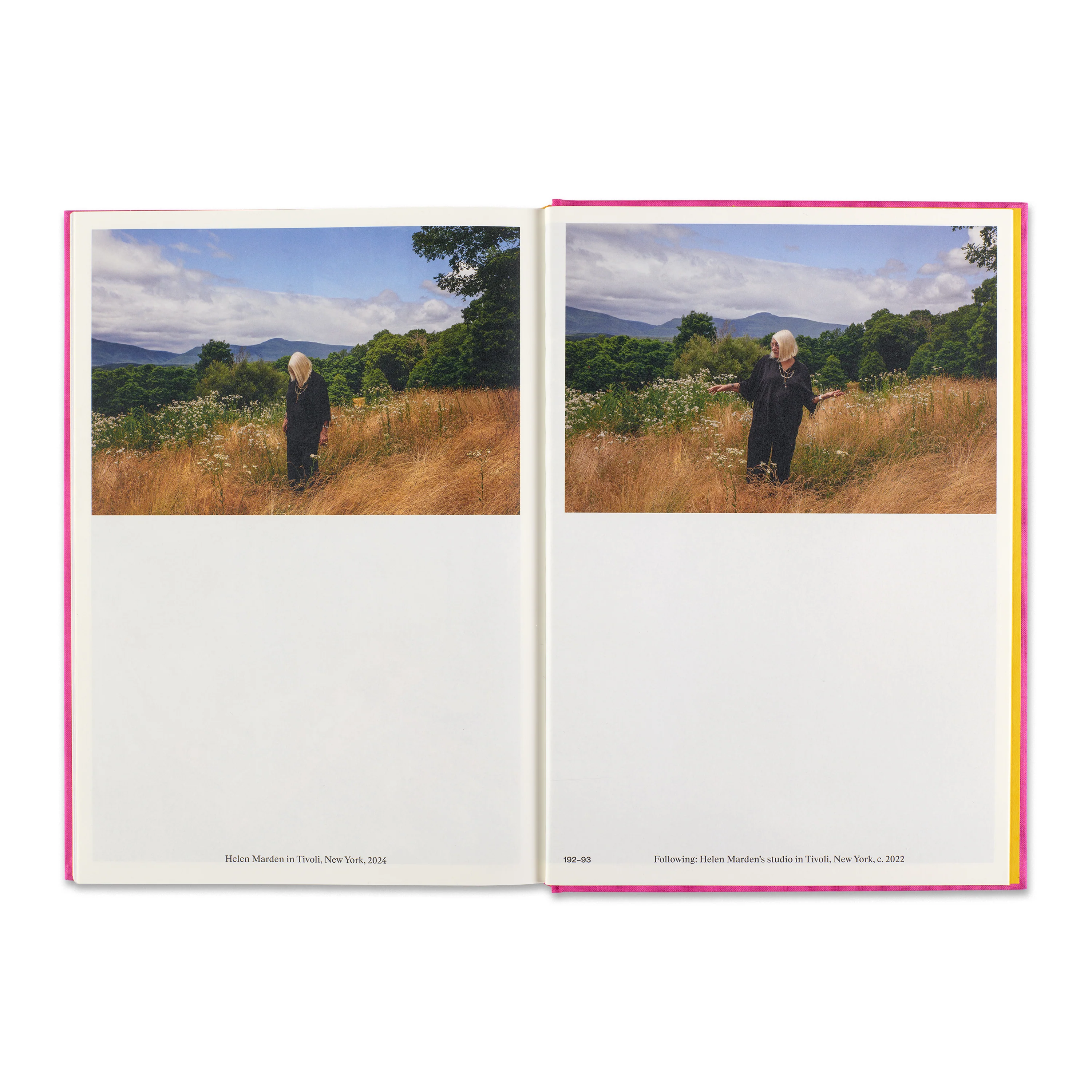 Helen Marden - Image 5