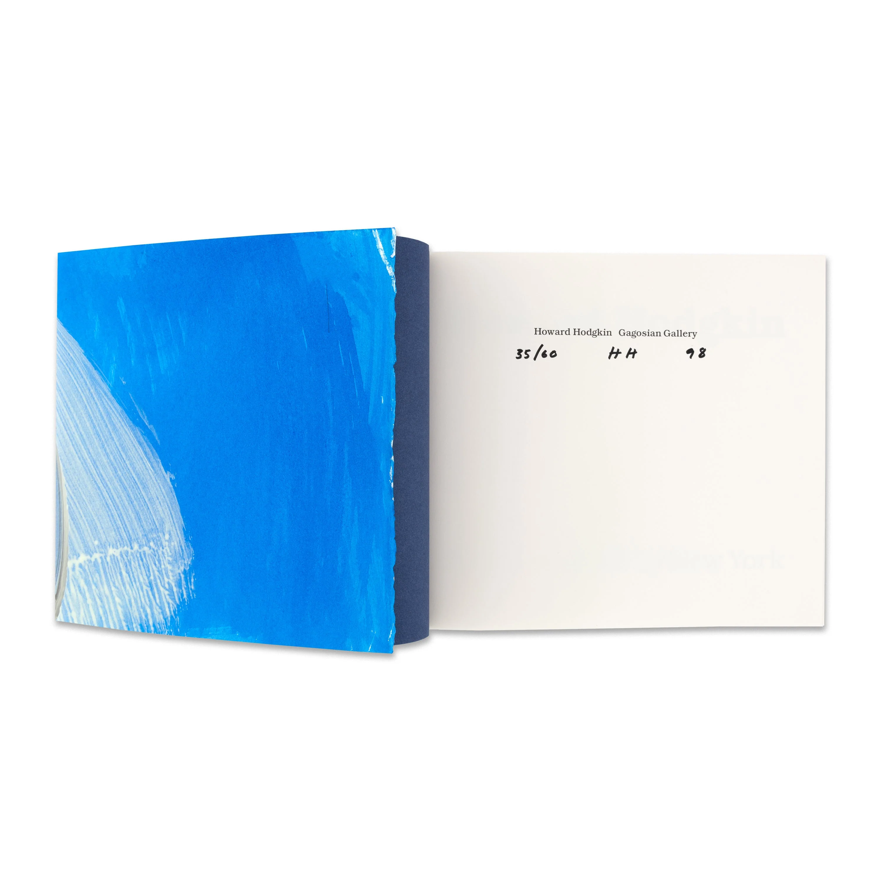 Howard Hodgkin: Paintings (Deluxe Edition) - Image 3