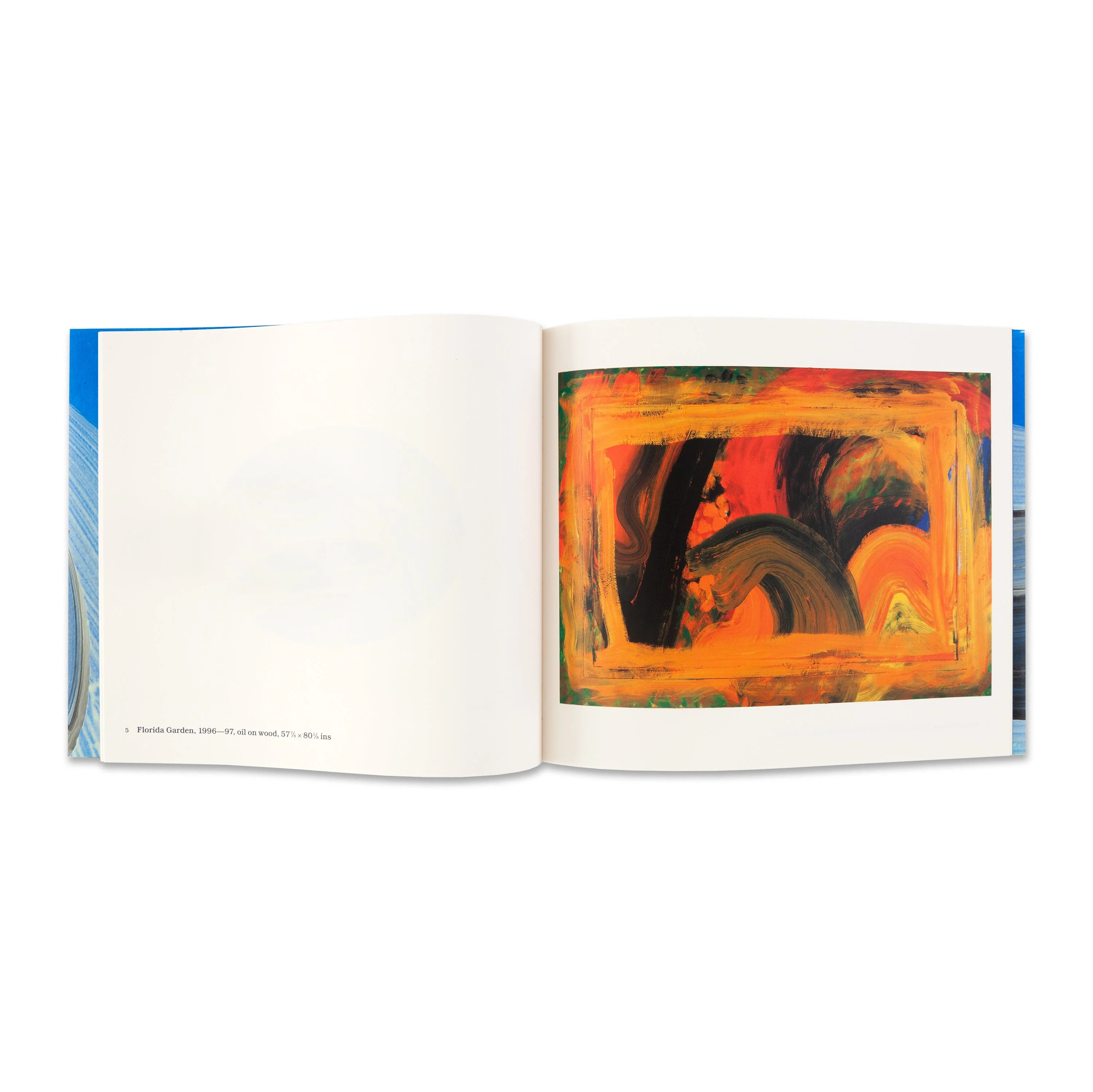 Howard Hodgkin: Paintings (Deluxe Edition) - Image 4