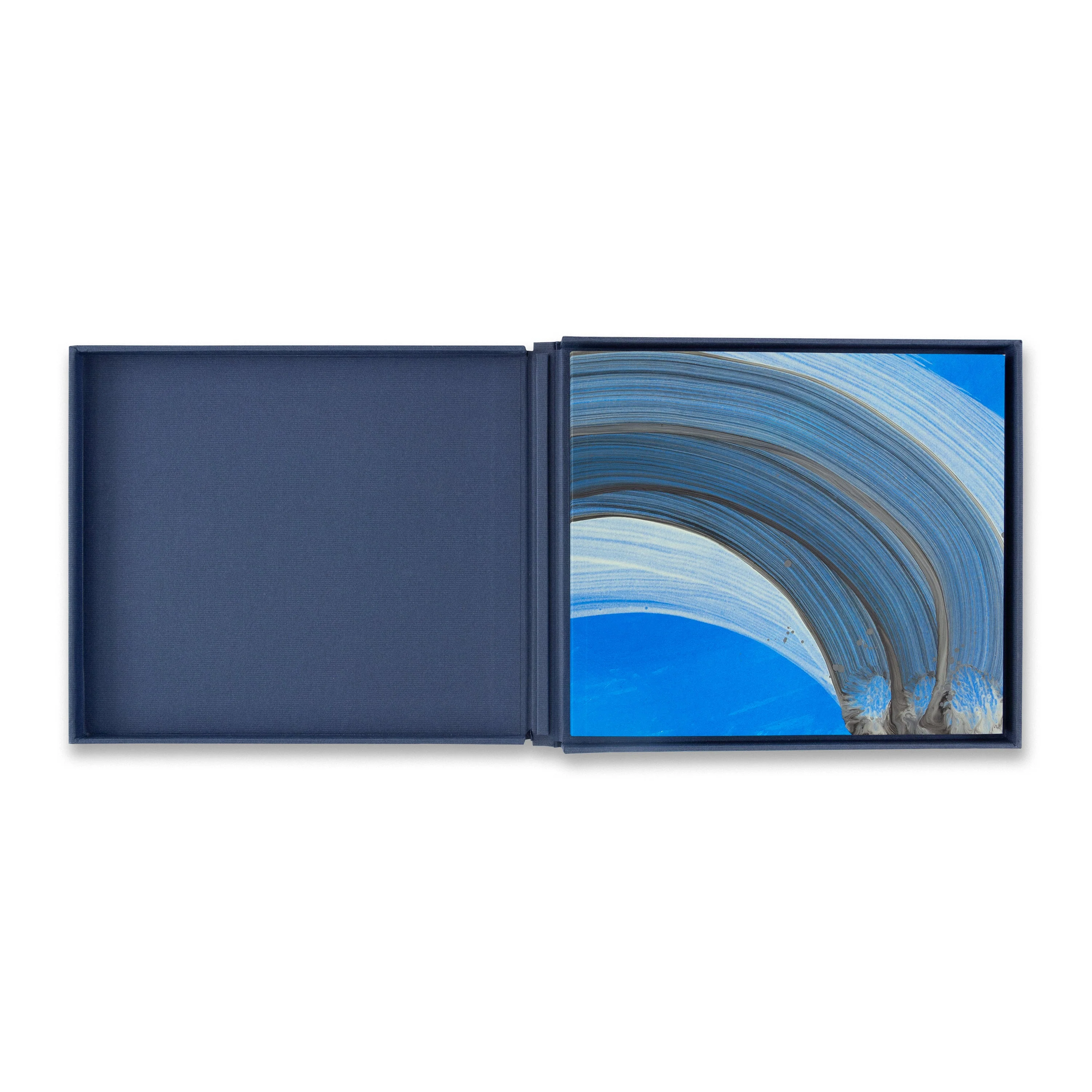 Howard Hodgkin: Paintings (Deluxe Edition) - Image 5