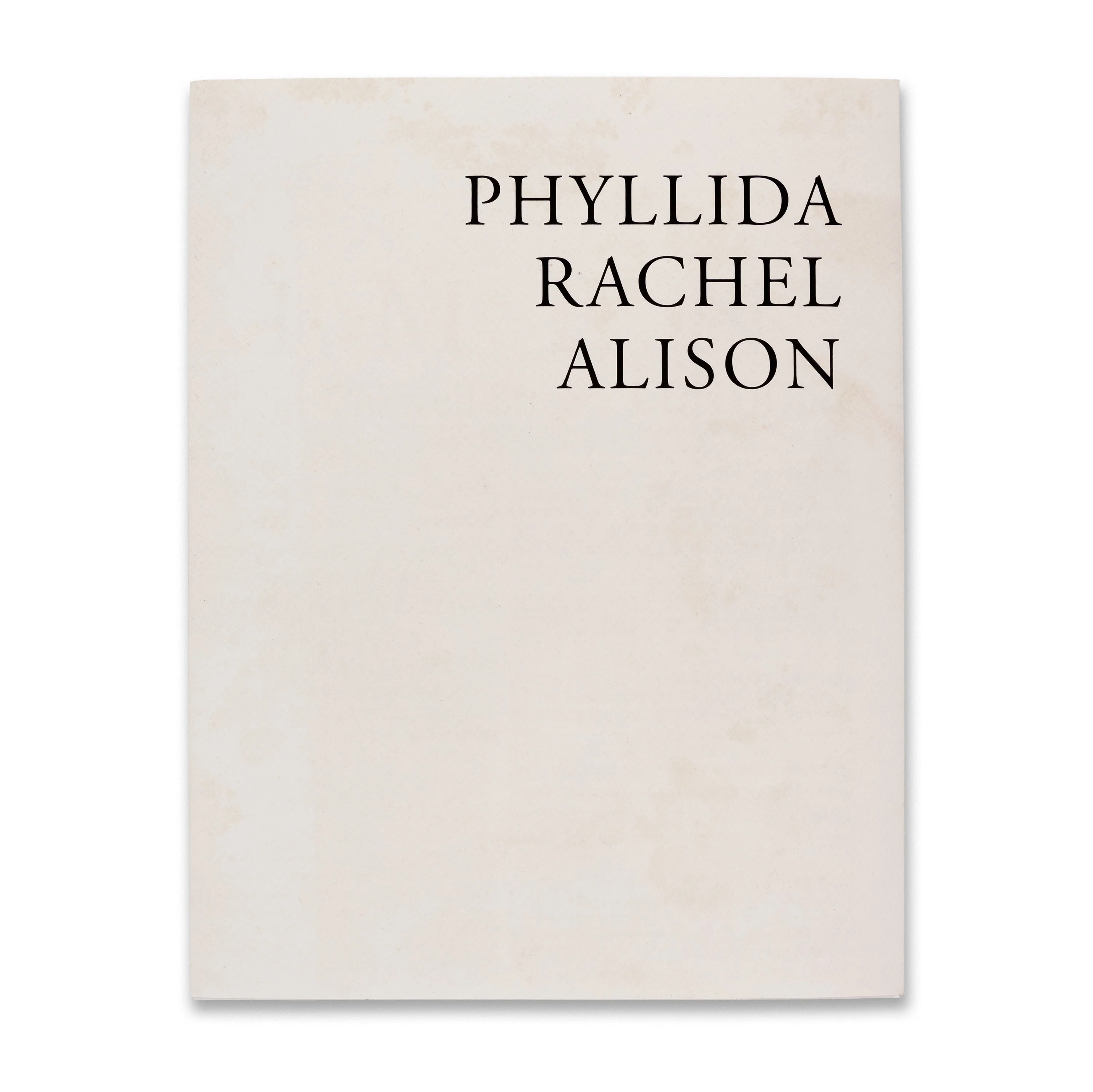 Hurly-burly: Phyllida Barlow, Rachel Whiteread, Alison Wilding - Image 5