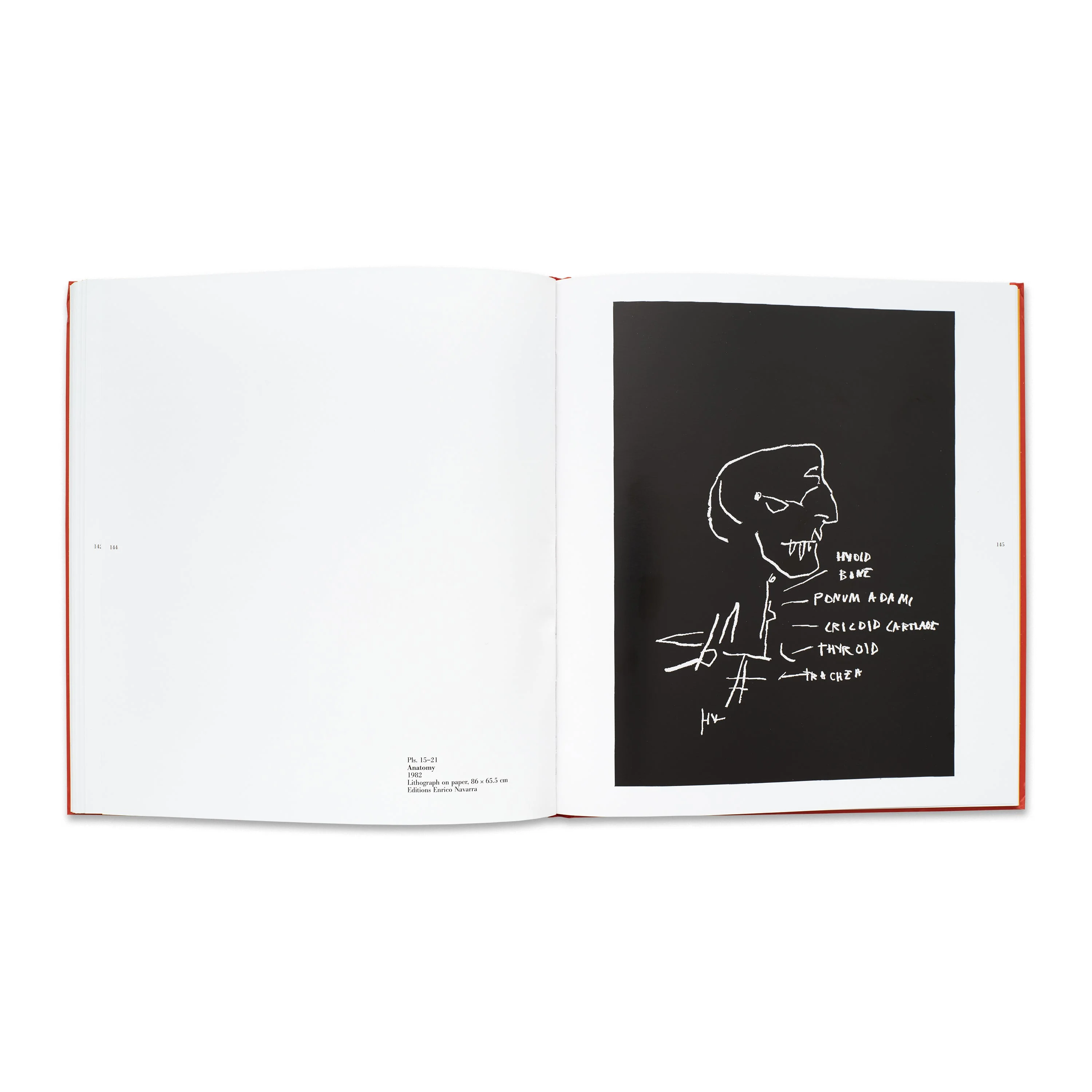 Jean-Michel Basquiat - Image 4