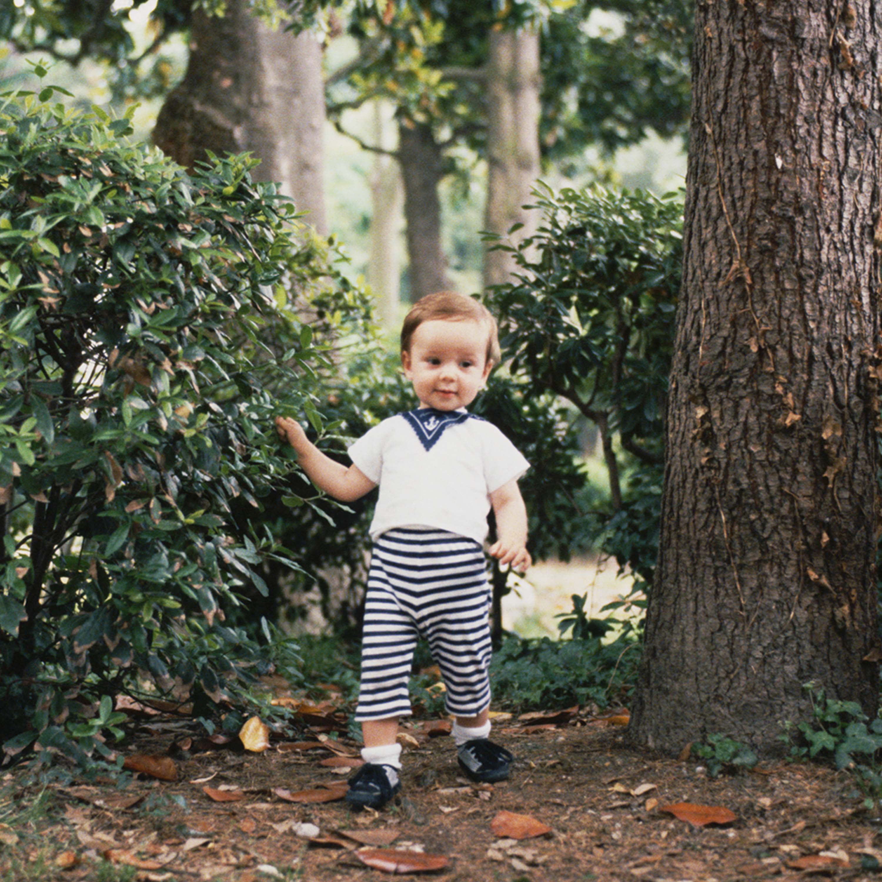 Jeff Wall: Child in Park, Venice 1993 - Image 2