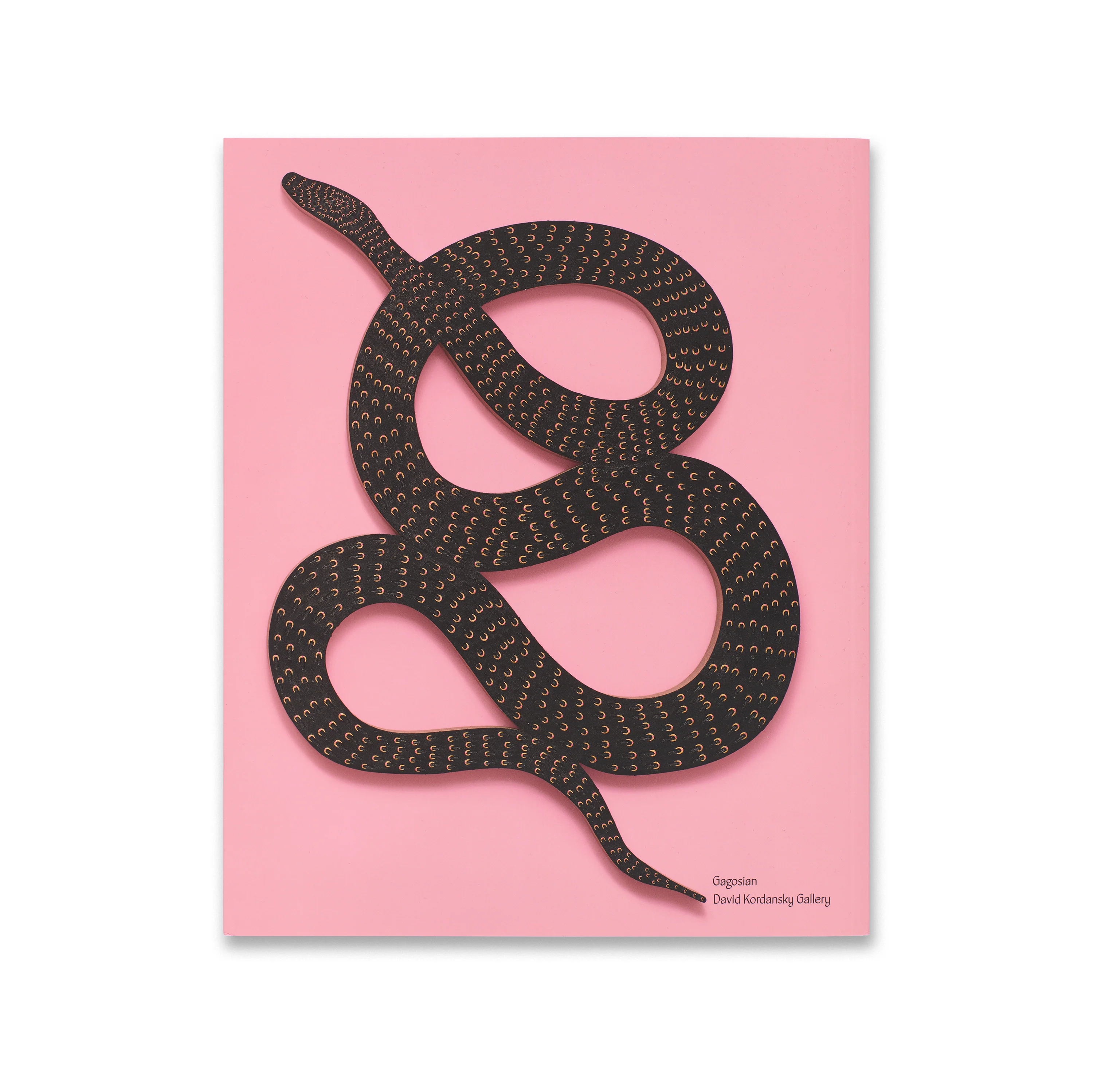 Jennifer Guidi: And so it is. - Image 5