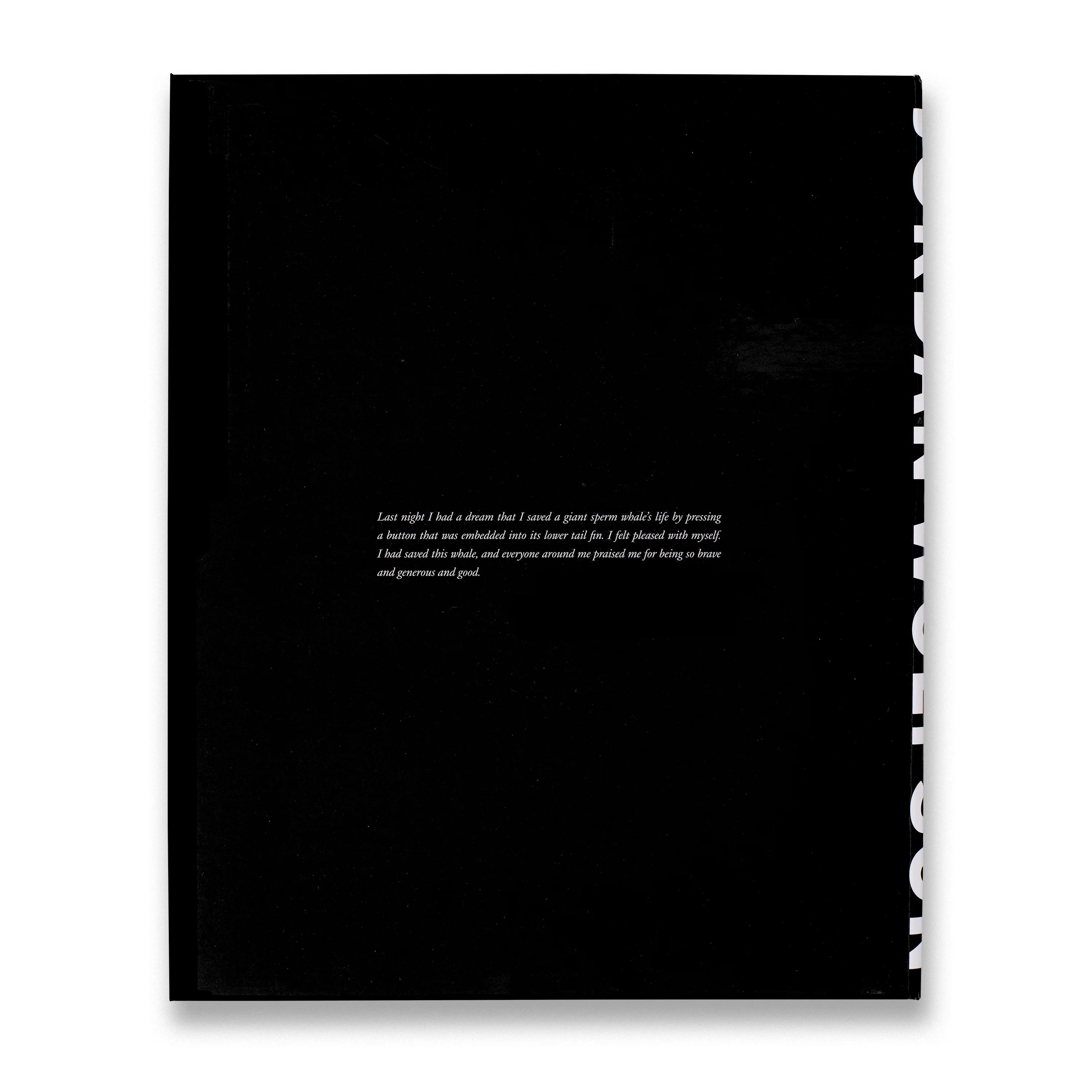 Jordan Wolfson: Body Sculpture - Image 5
