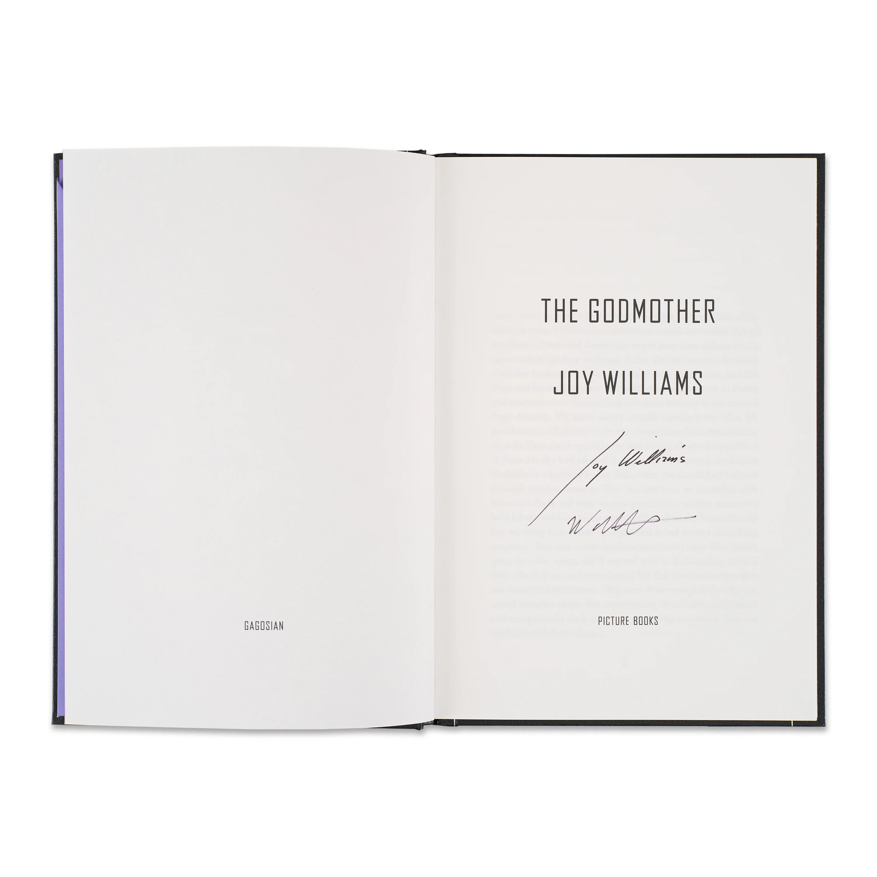 The Godmother - Image 4
