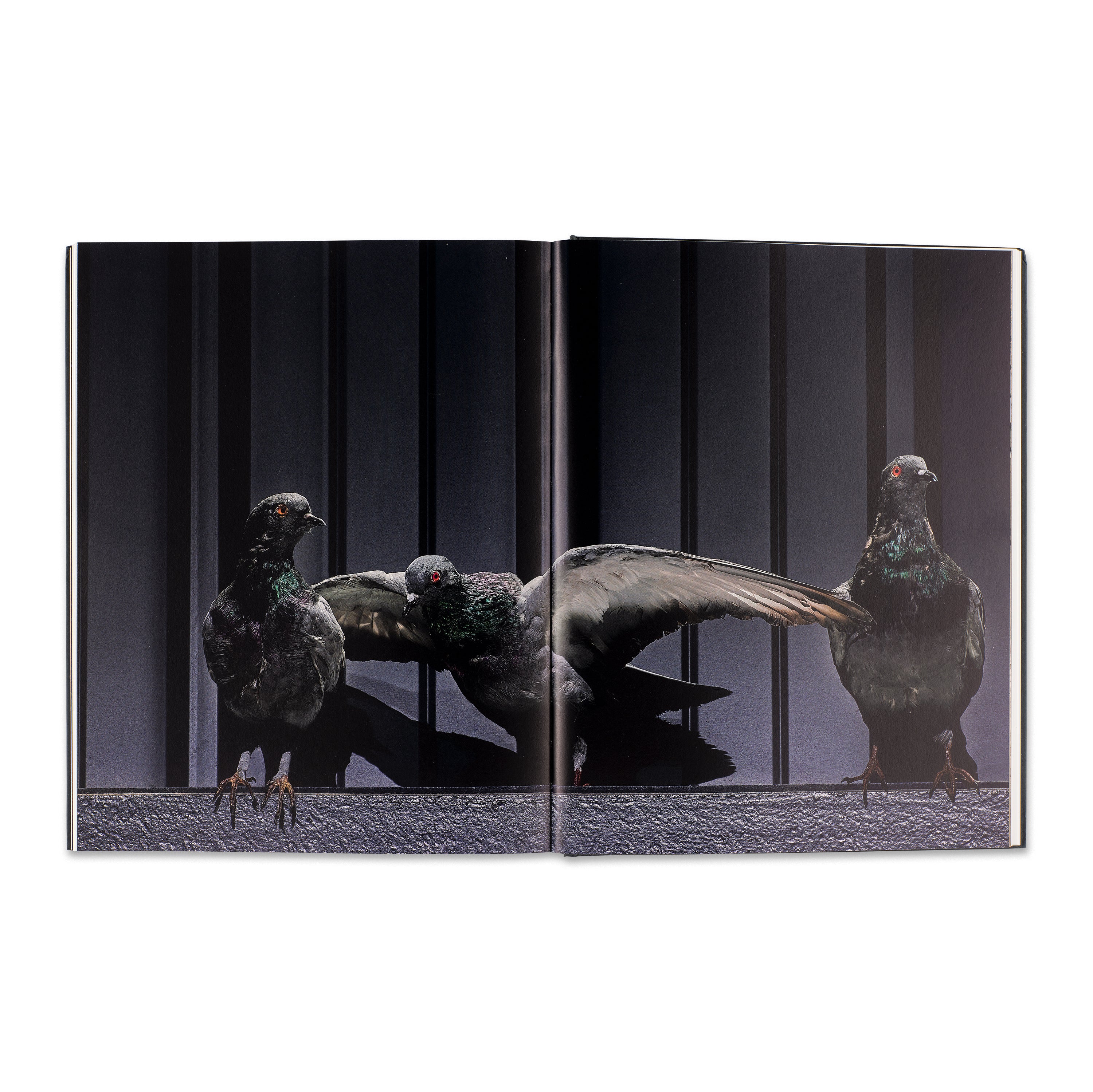 Maurizio Cattelan: Breath Ghosts Blind - Image 4