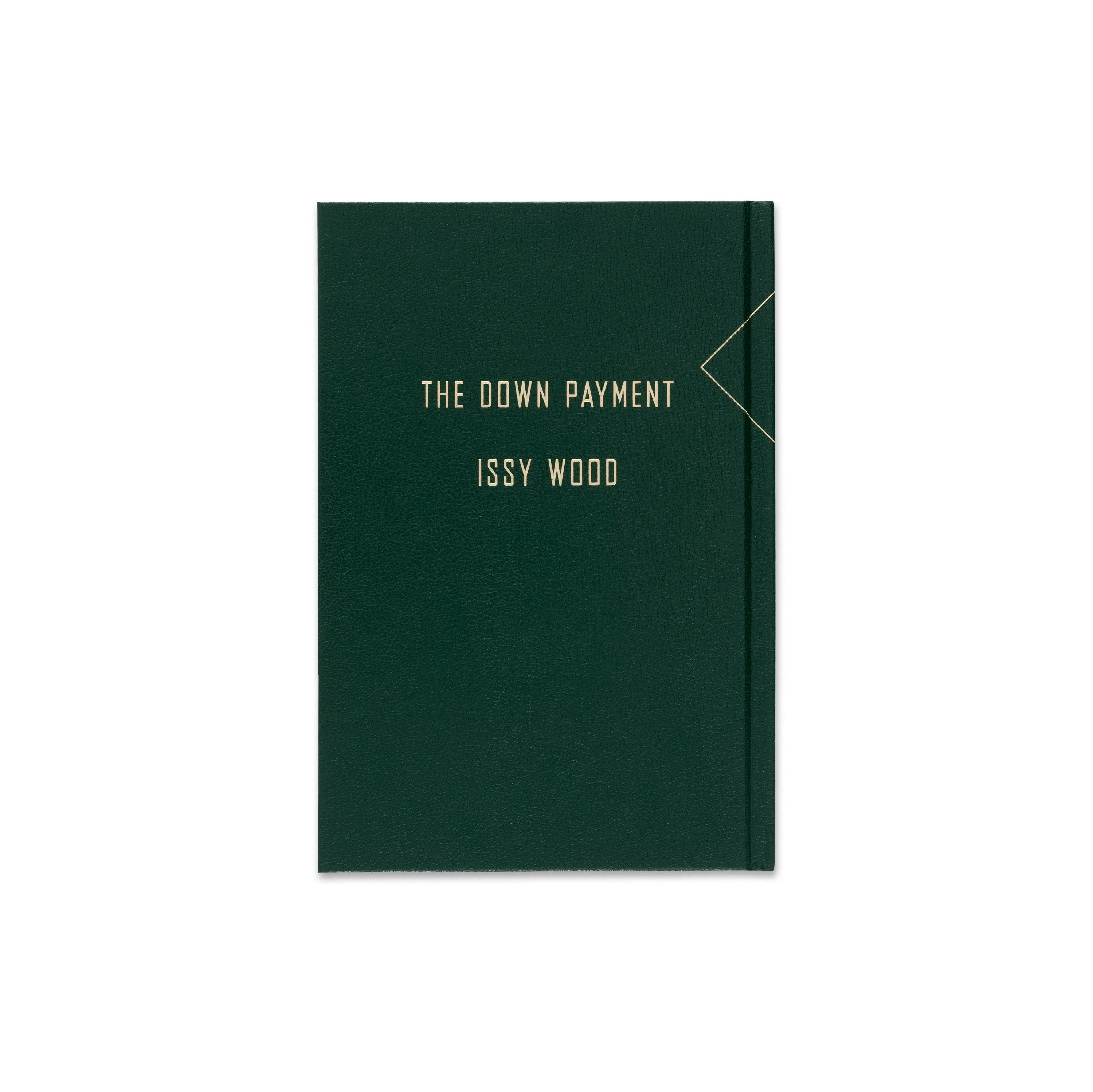 My New Novel / The down payment - Image 5