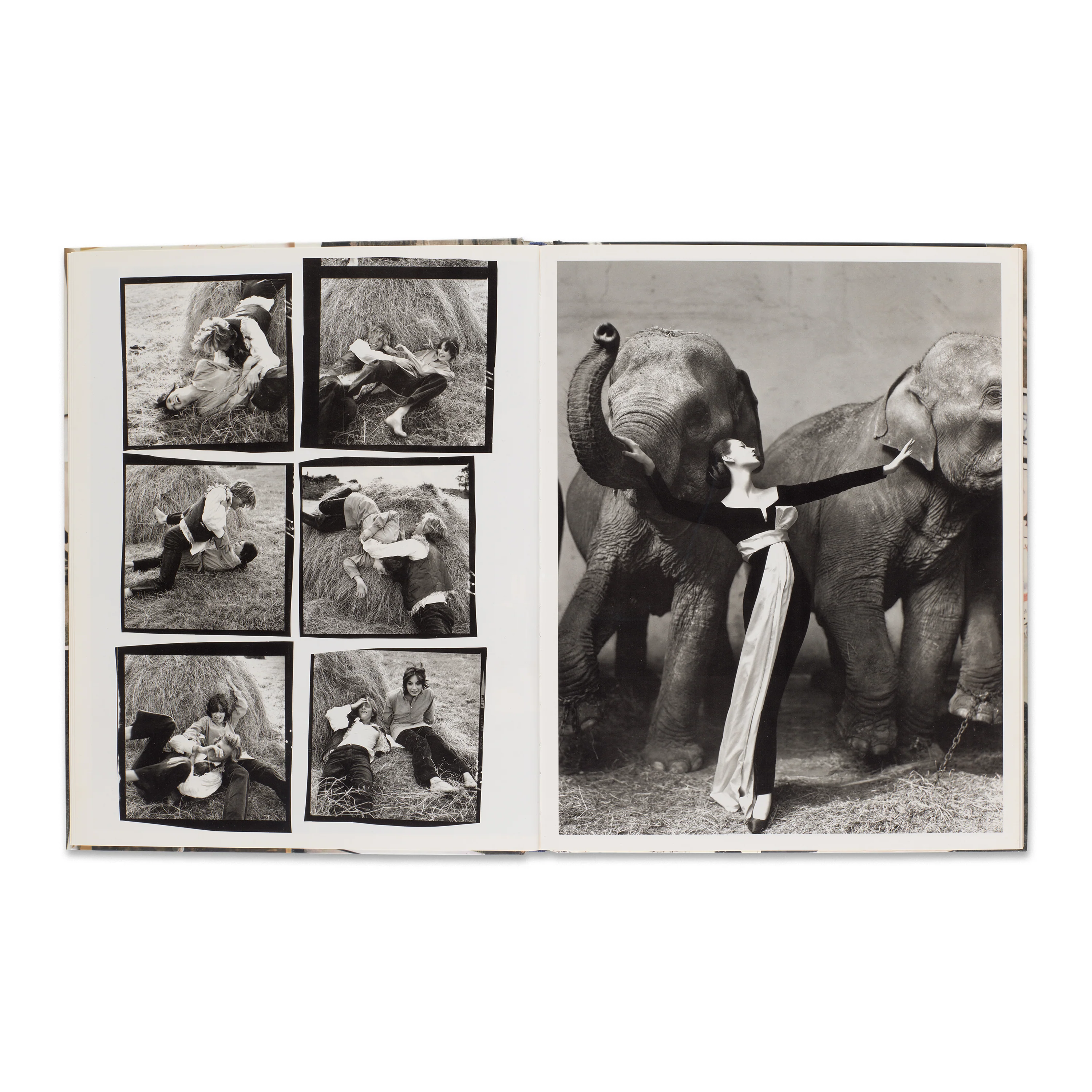 Richard Avedon: Evidence 1944–1994 - Image 3