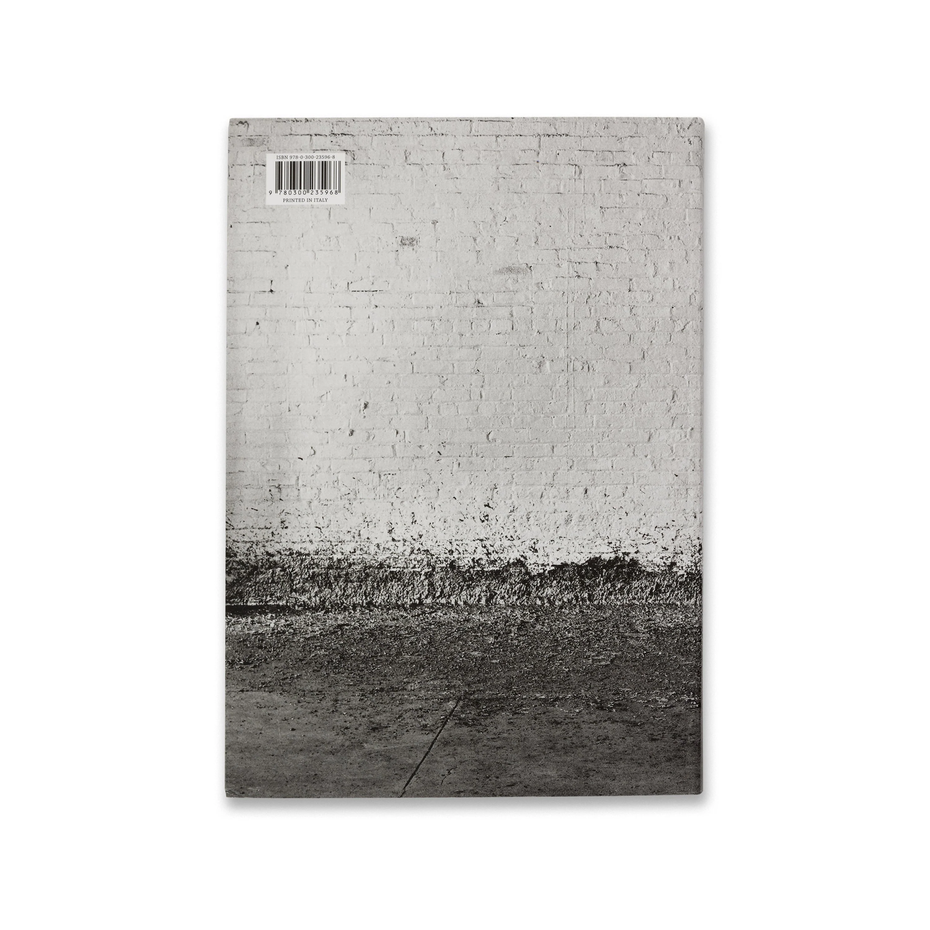 Richard Serra and Hal Foster: Conversations about Sculpture - Image 4
