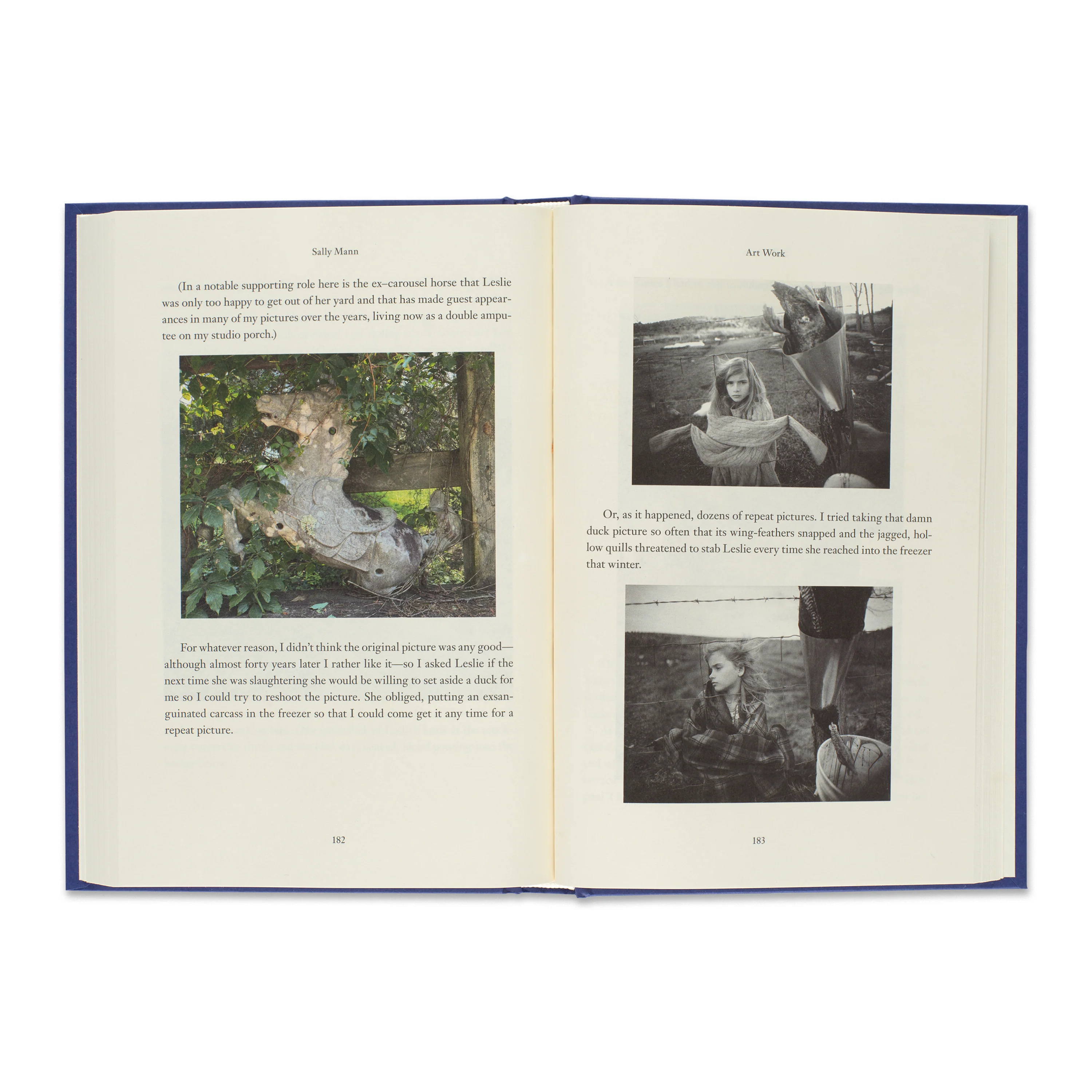 Sally Mann: Art Work: On the Creative Life - Image 3
