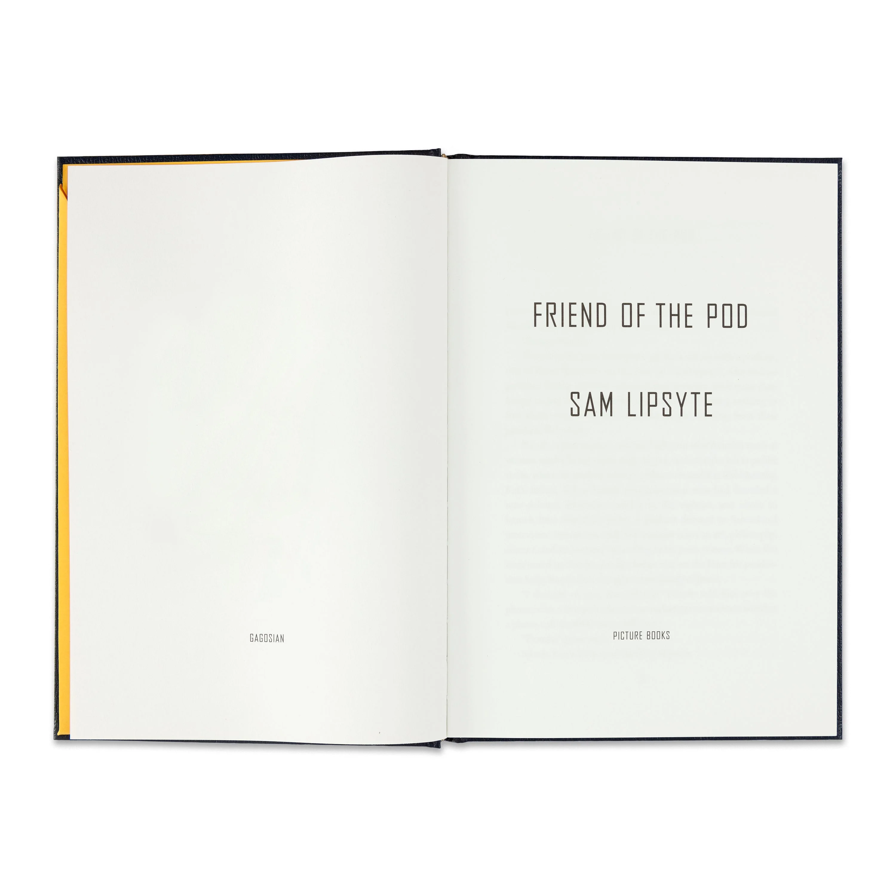 Friend of the Pod / Untitled - Image 4