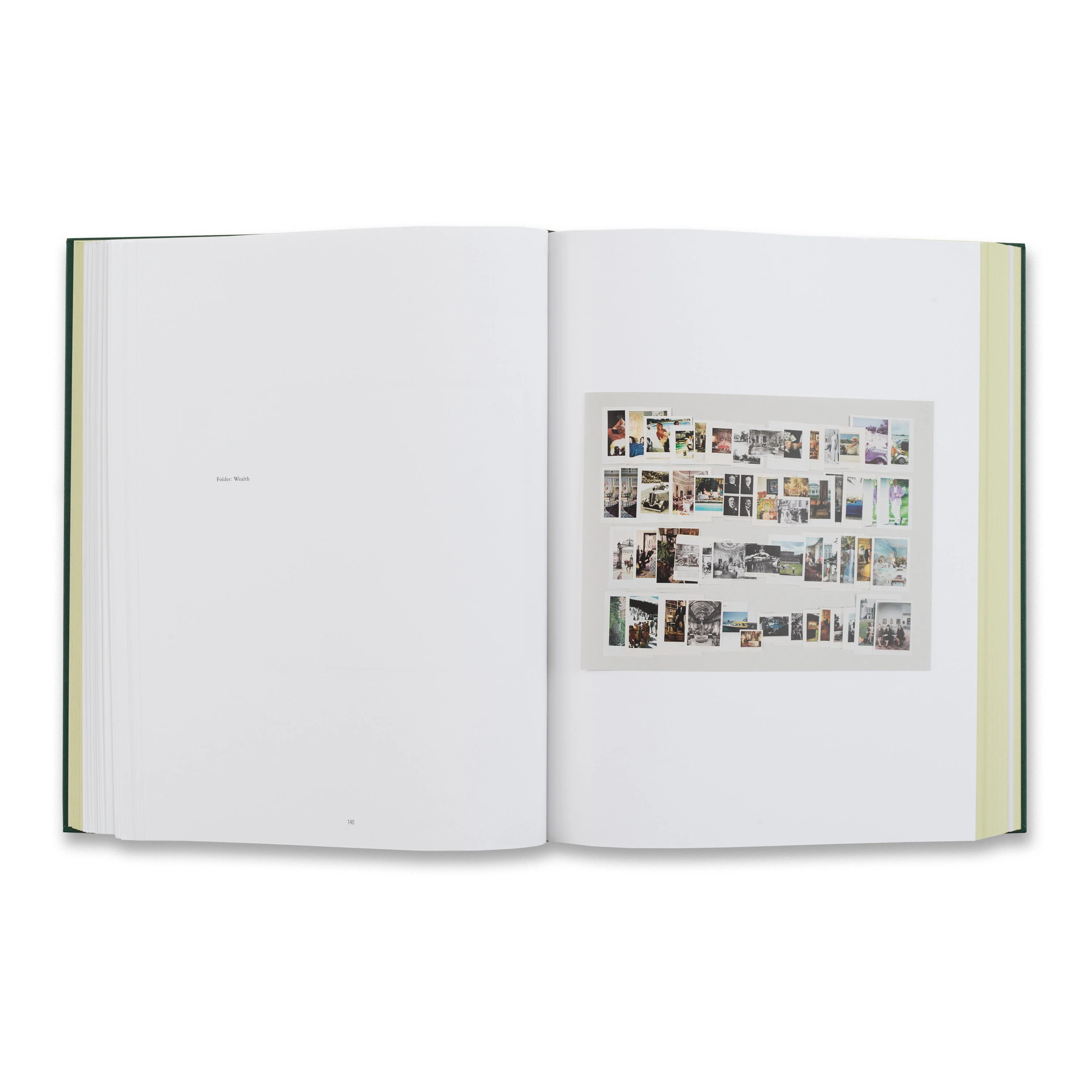 Taryn Simon: The Color of a Flea’s Eye: The Picture Collection - Image 3