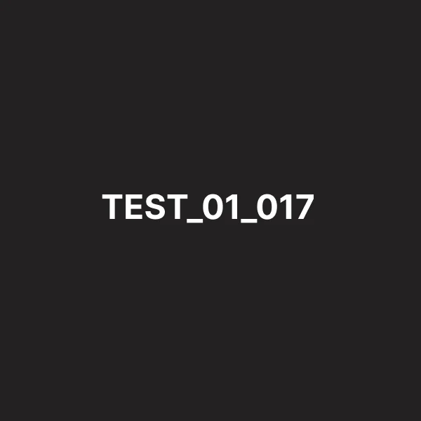 TEST_01_017